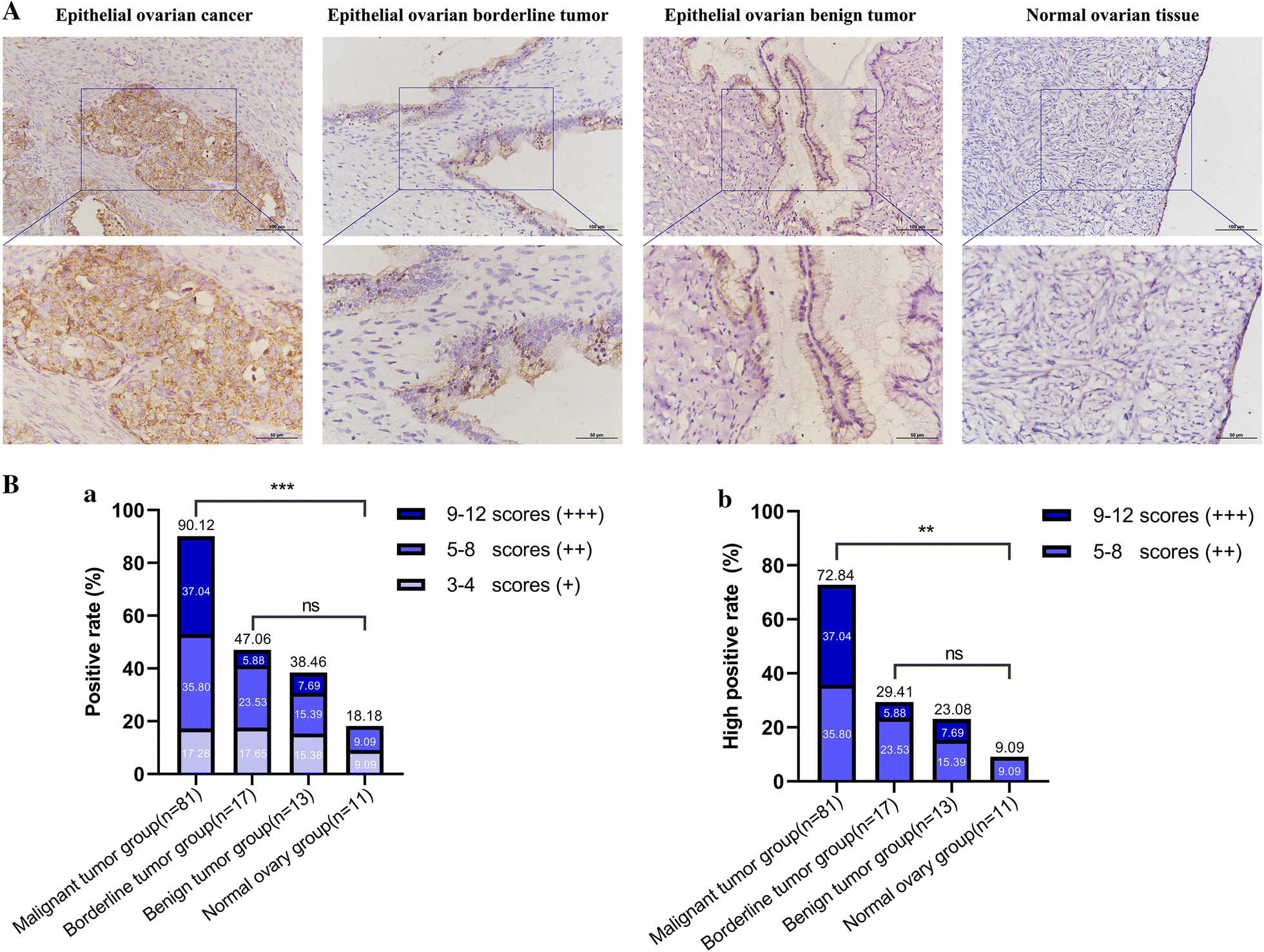 Fig. 12