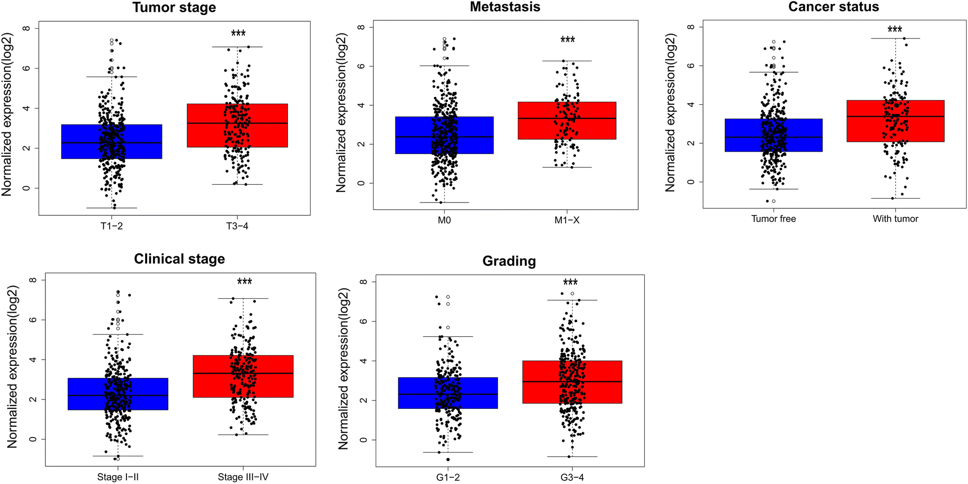 Fig. 10