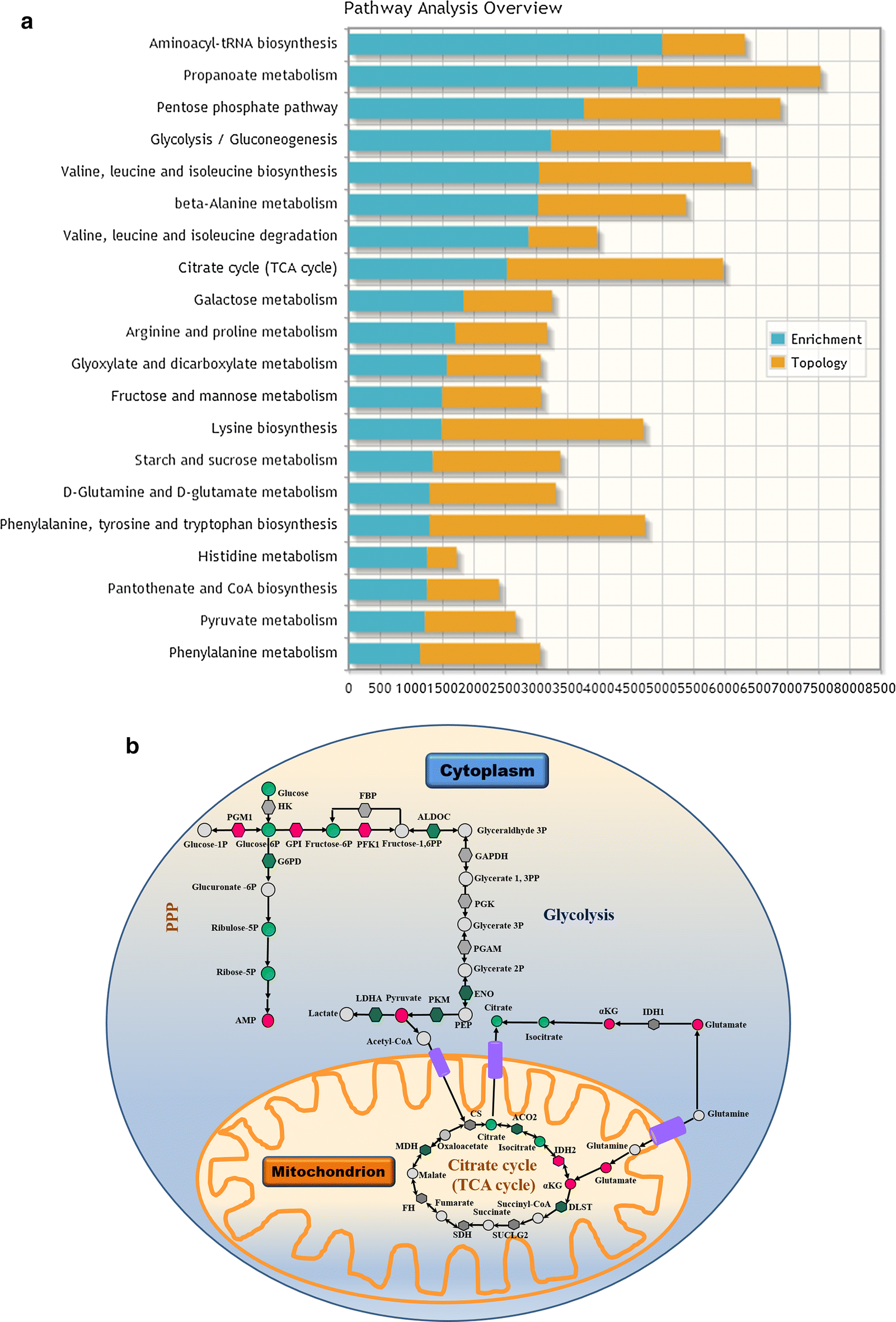 Fig. 2