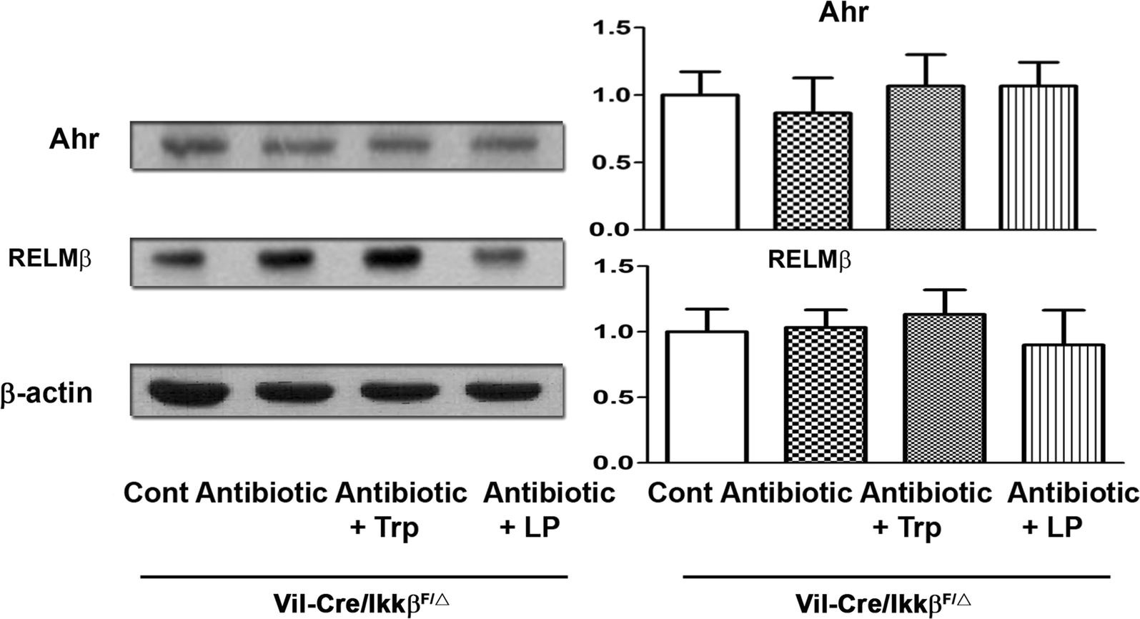 Fig. 7