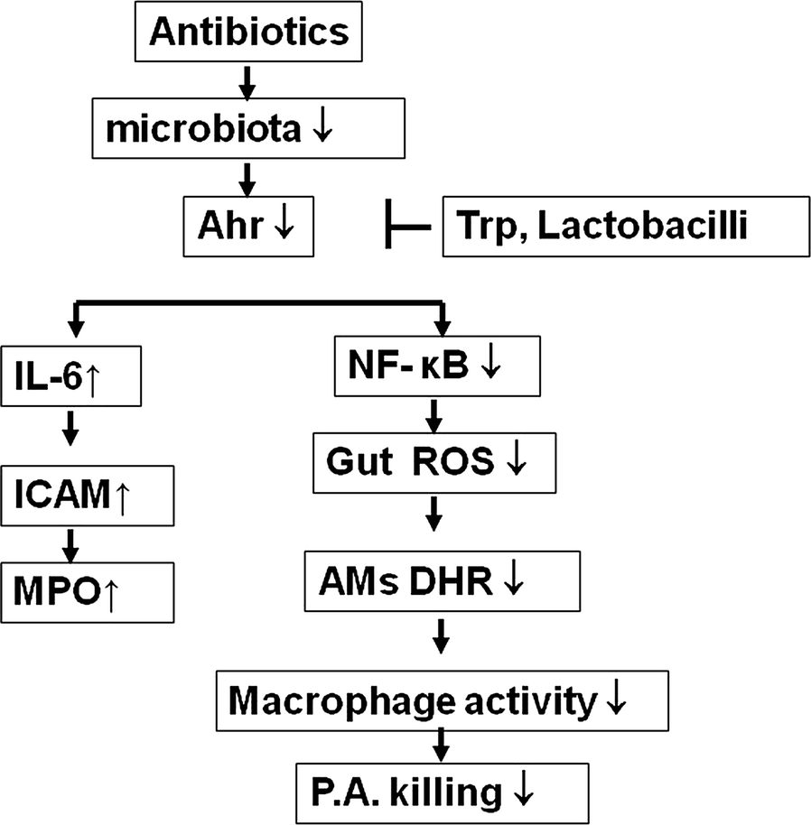 Fig. 8