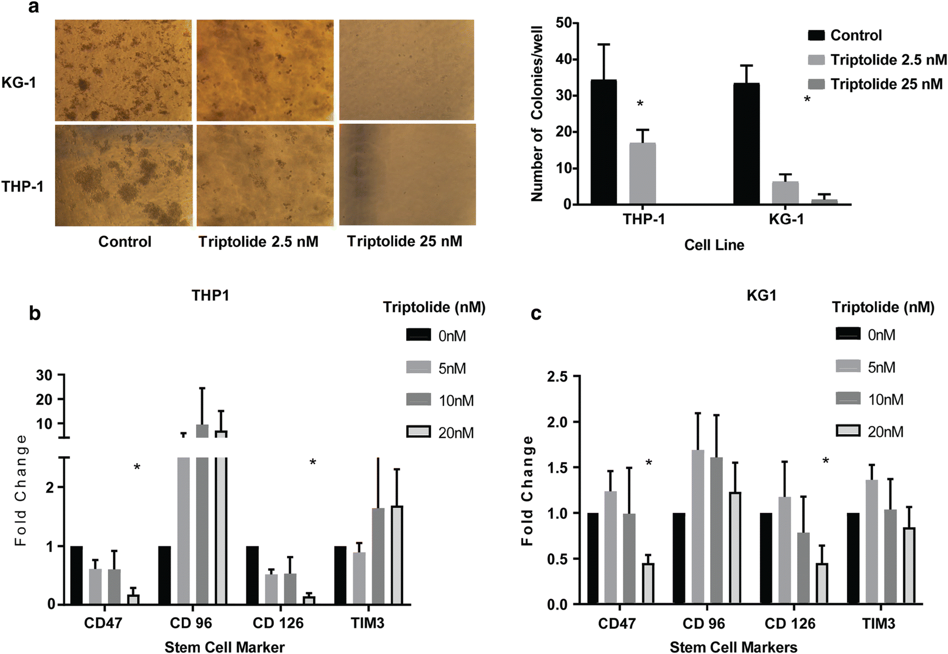 Fig. 3