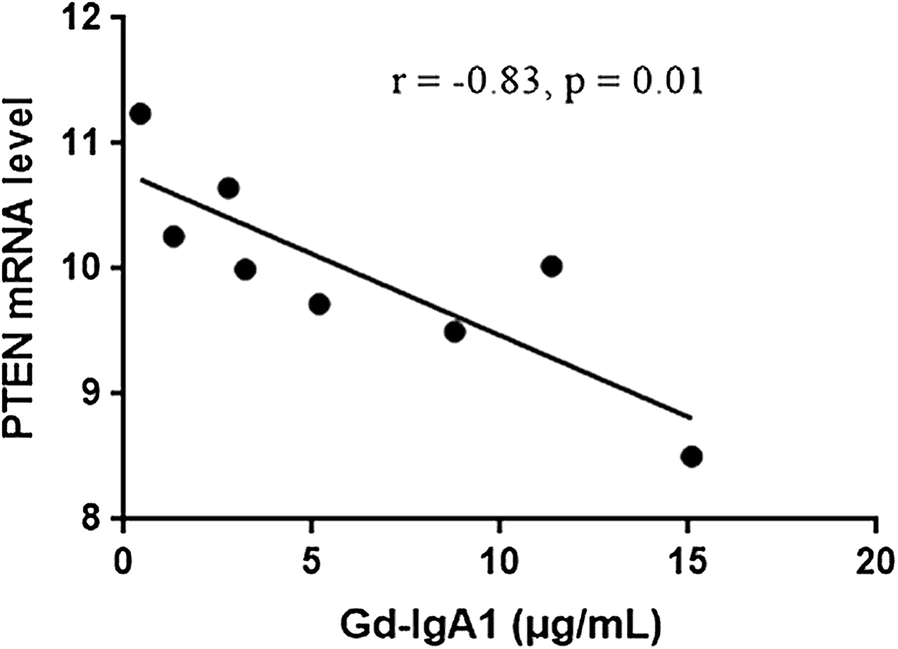 Fig. 6