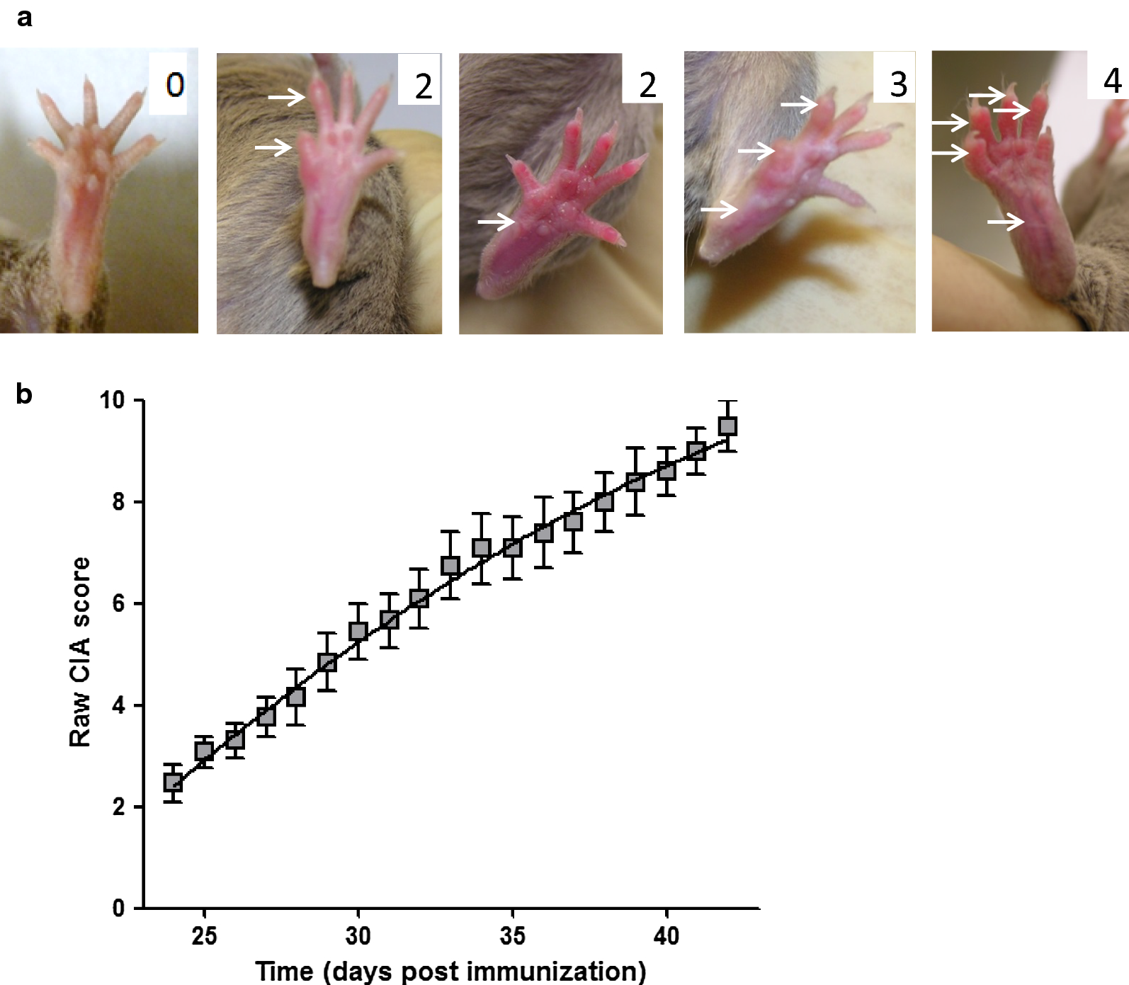 Fig. 1