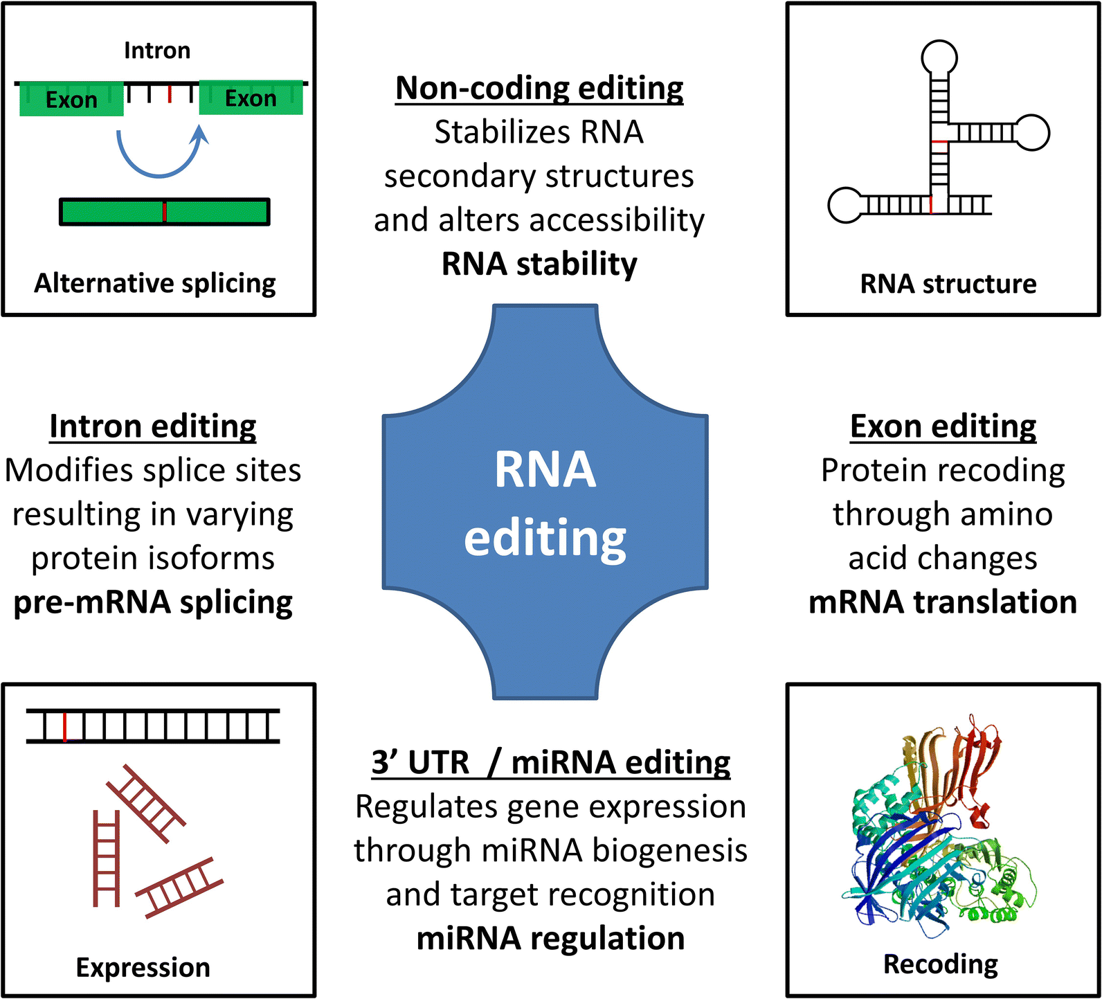 Fig. 3