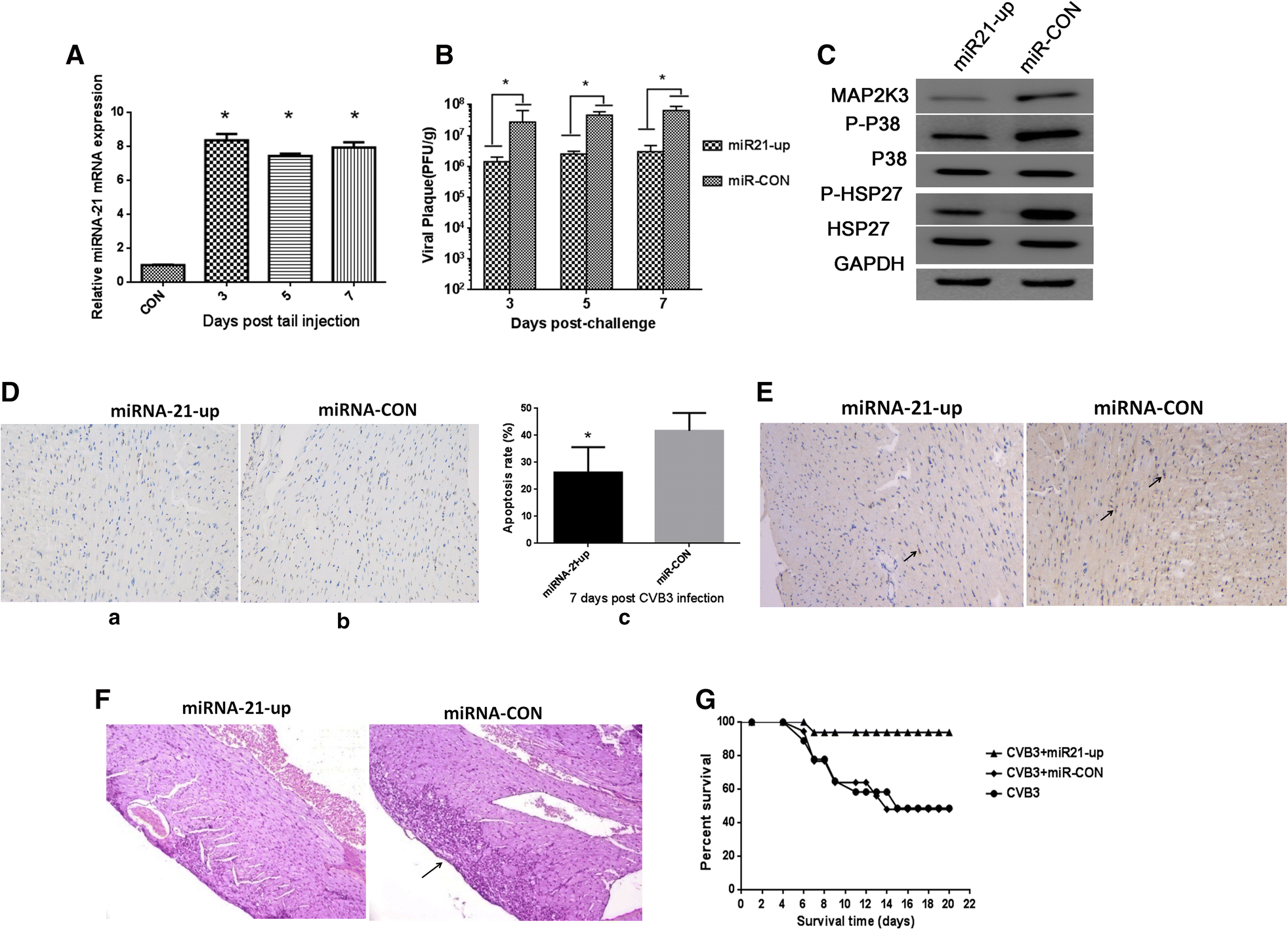 Fig. 5