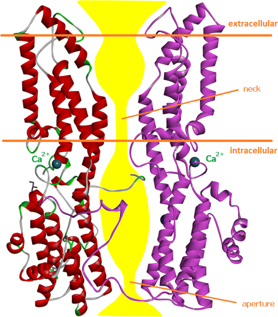 Fig. 5