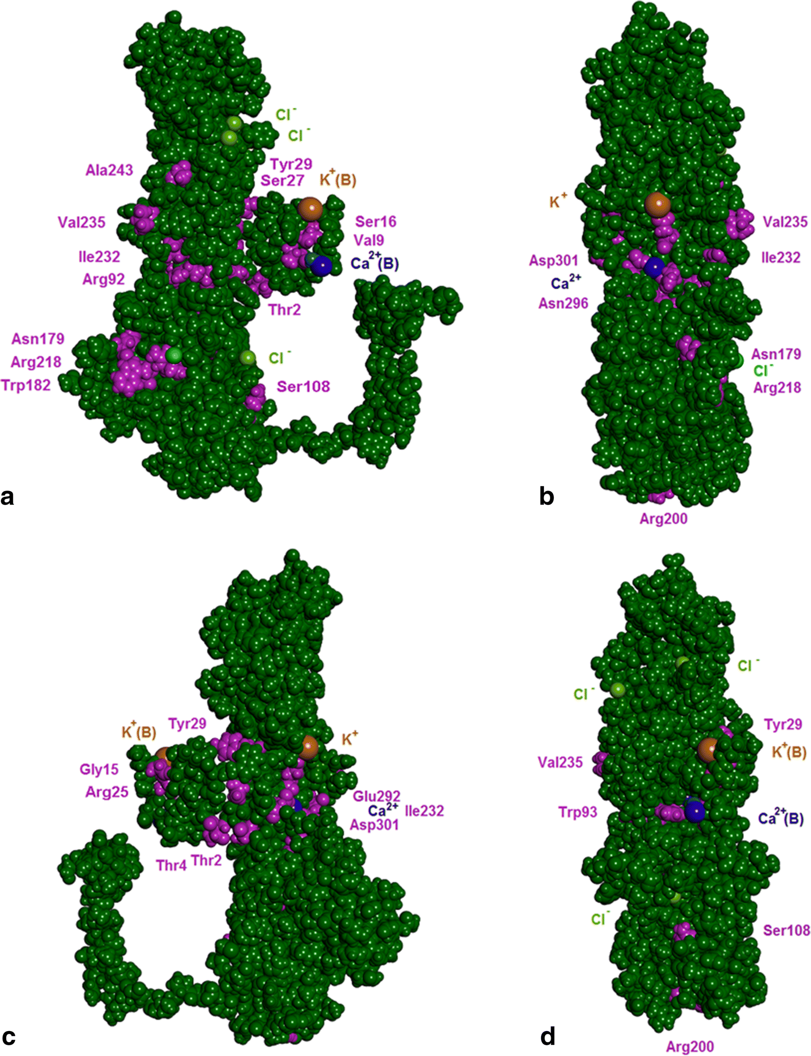 Fig. 6