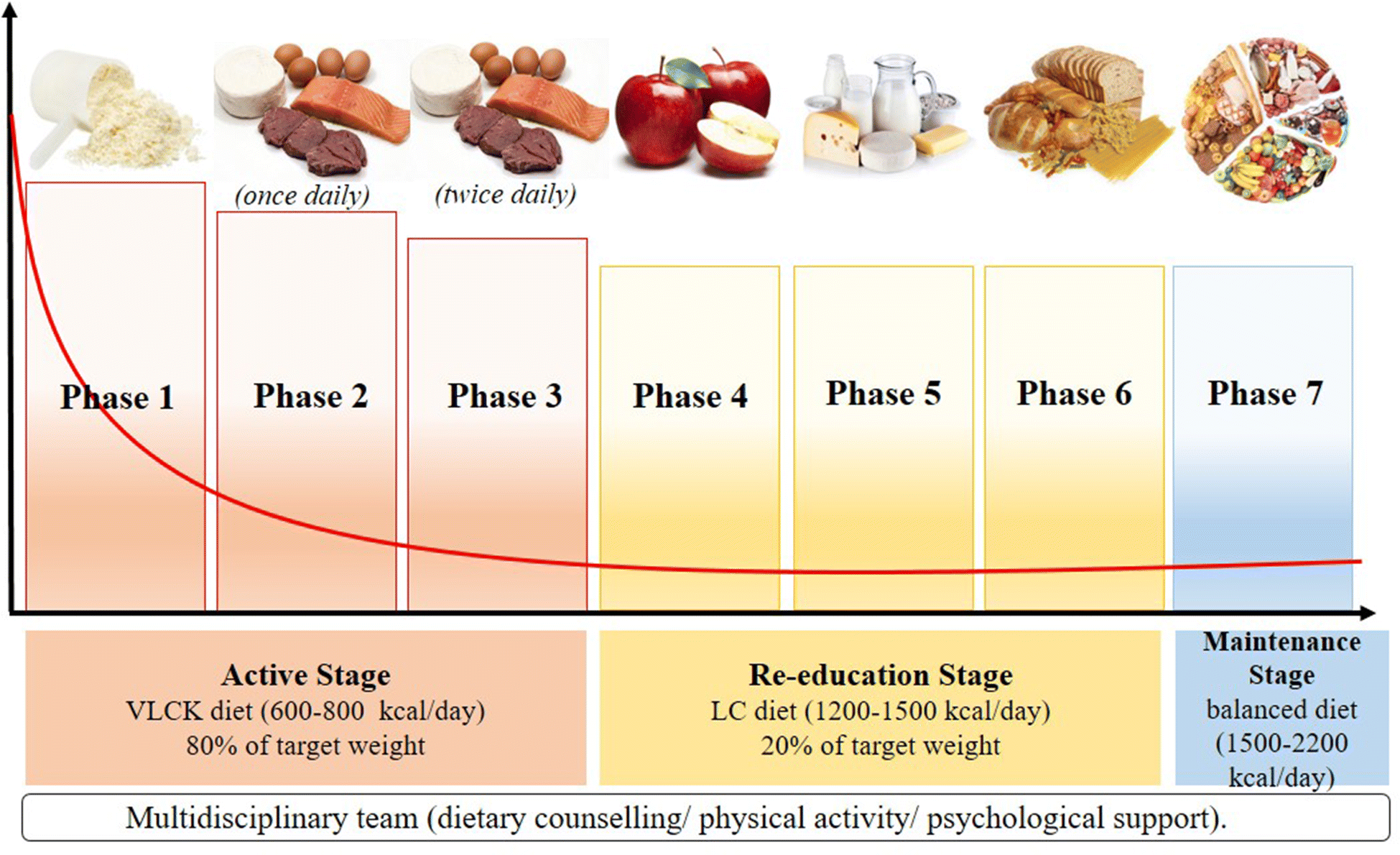 Fig. 1