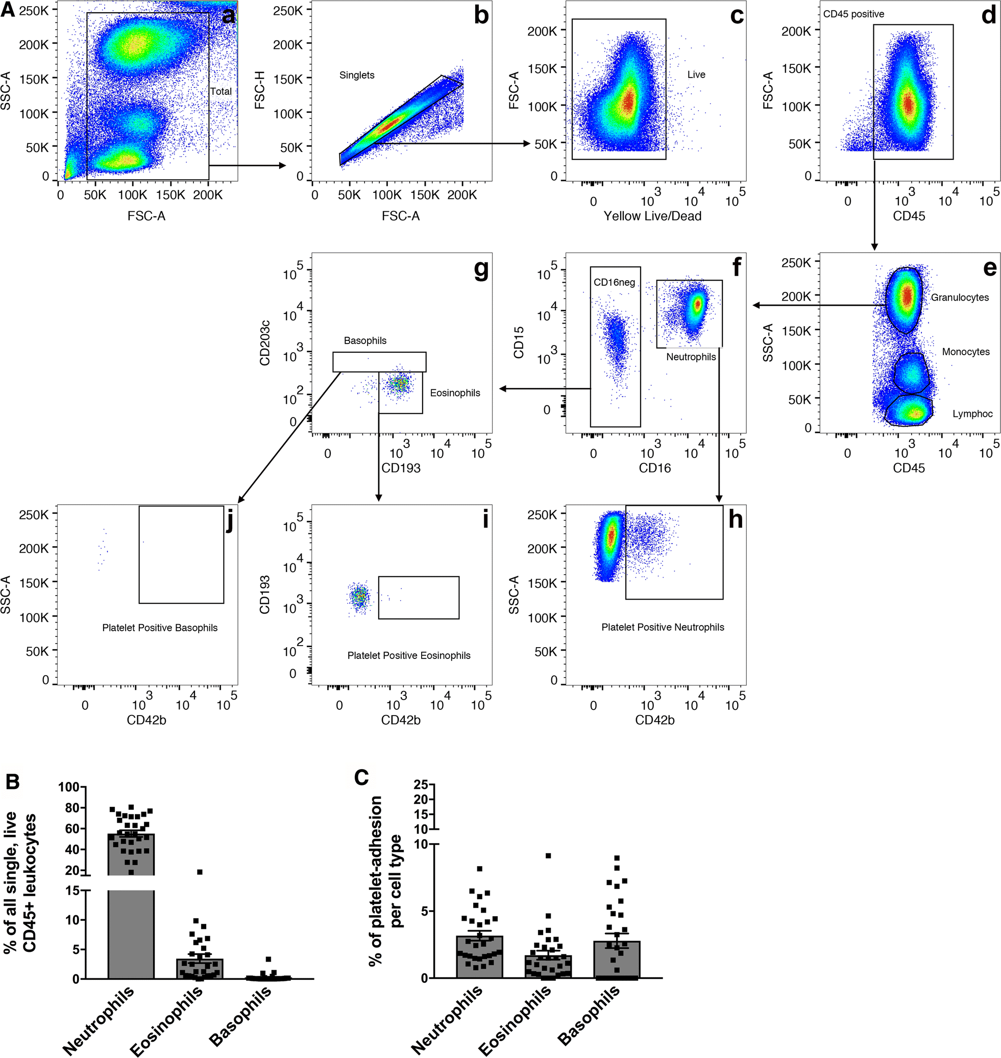 Fig. 1