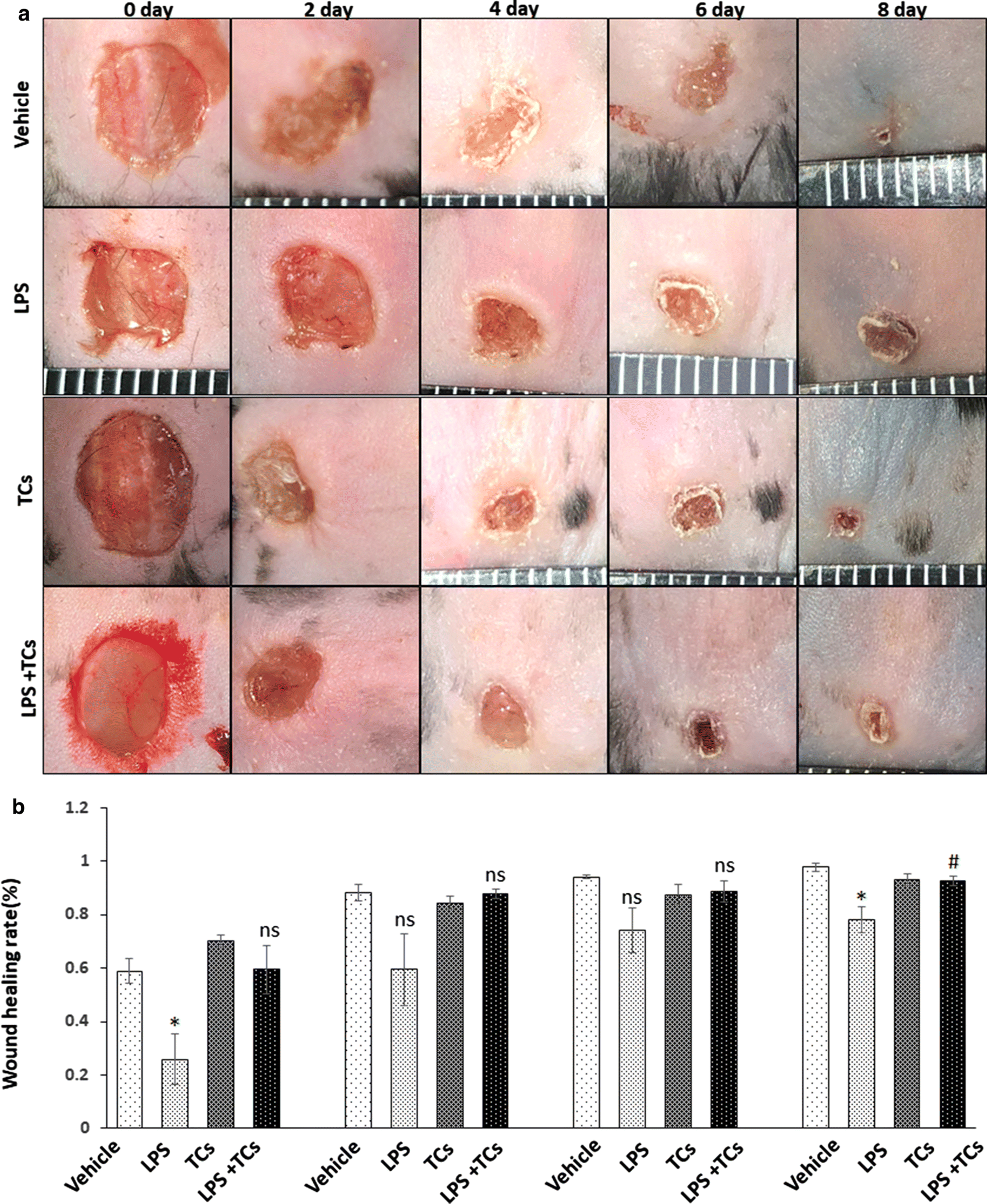 Fig. 3