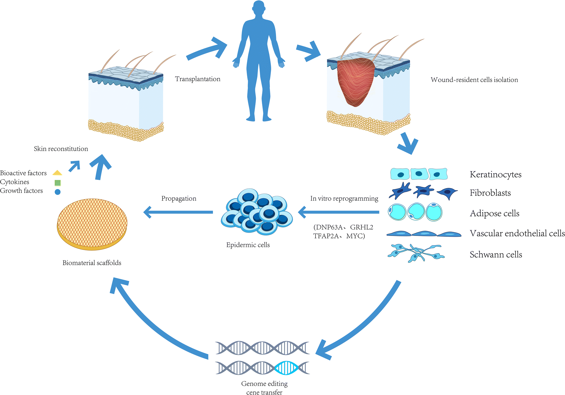 Fig. 2