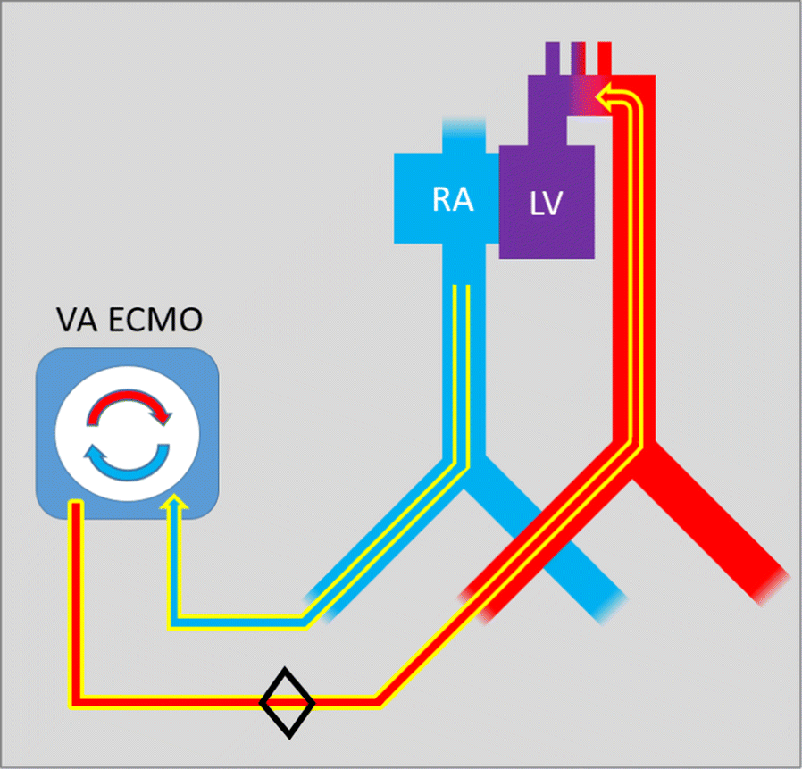 Fig. 3