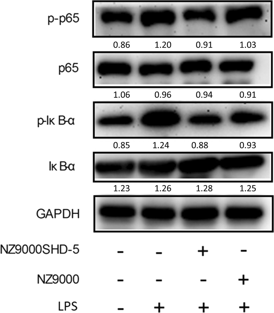 Fig. 7