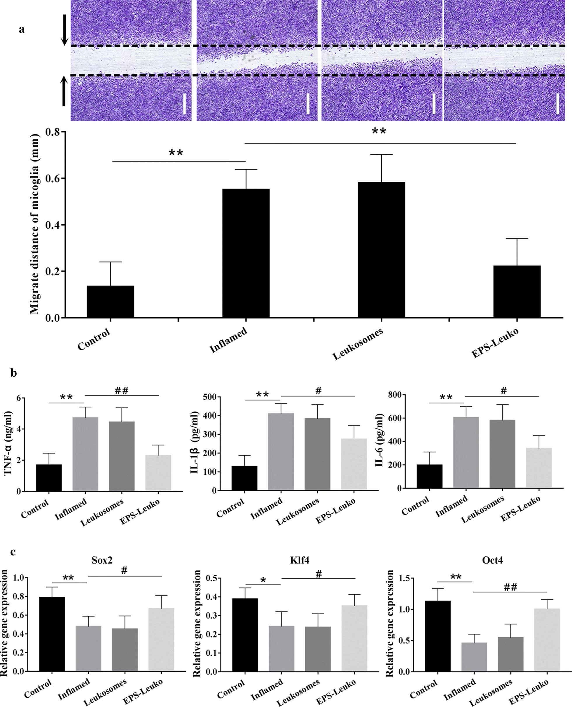 Fig. 2