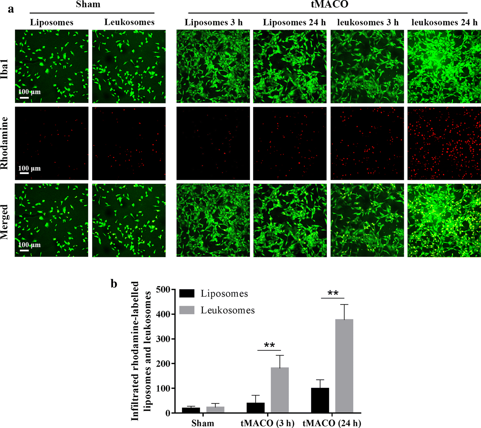 Fig. 4