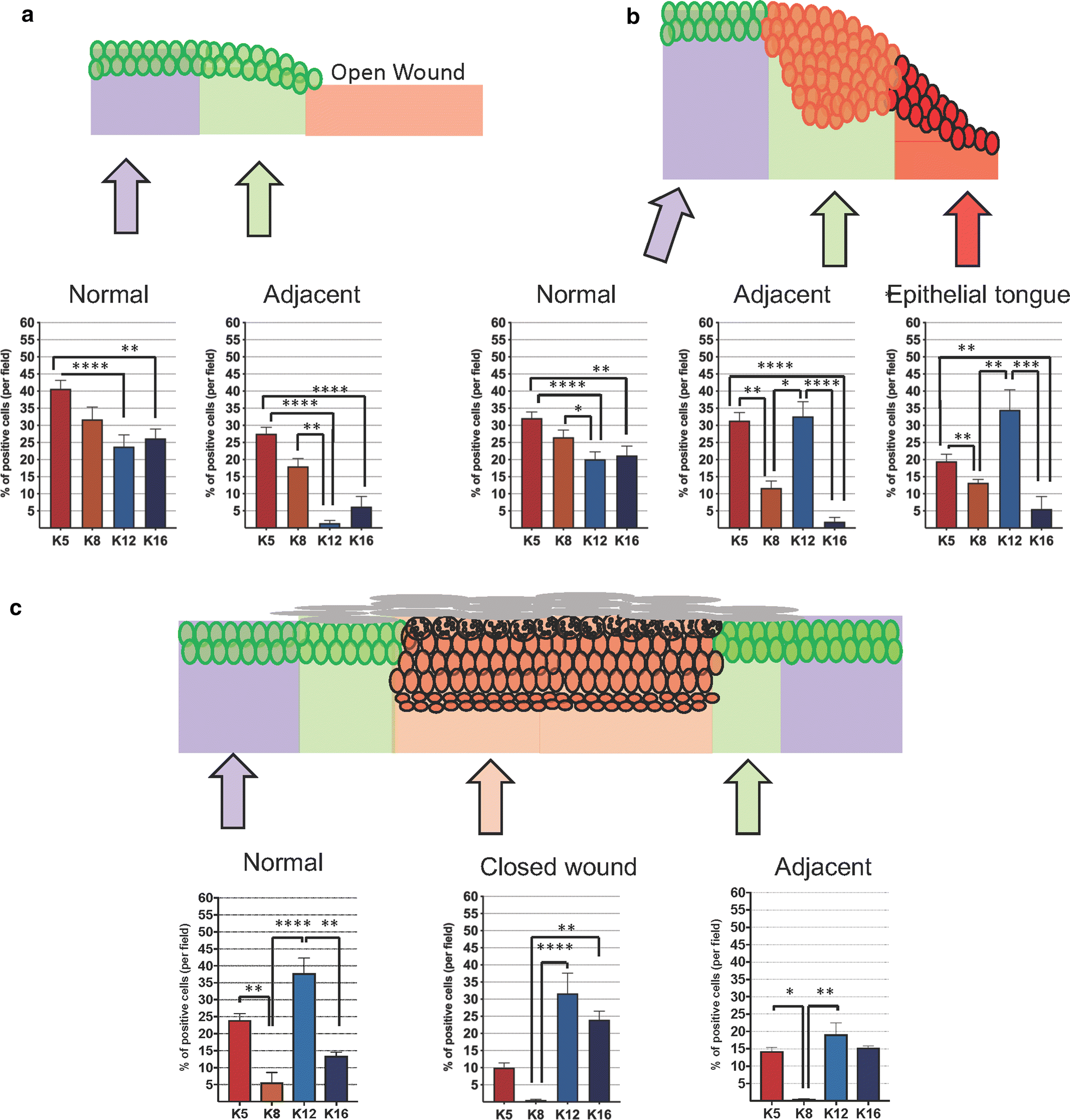 Fig. 4