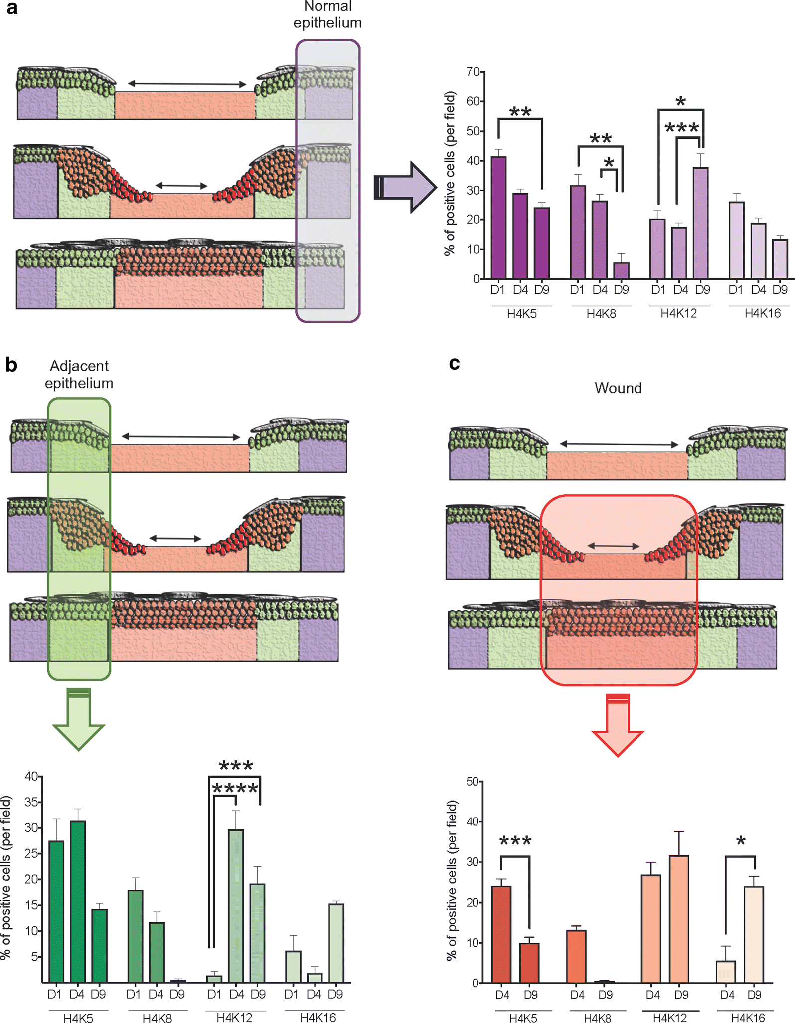 Fig. 5