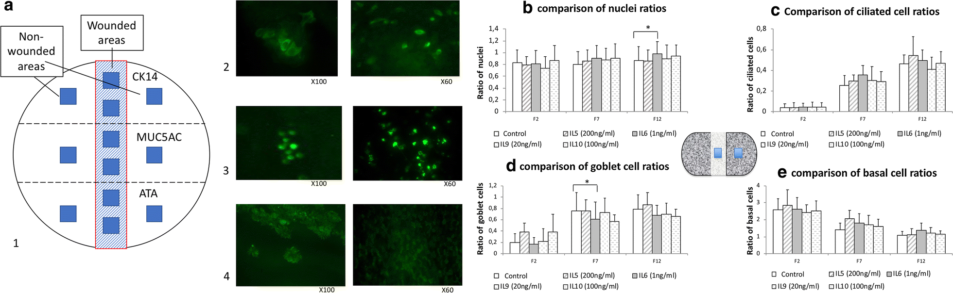 Fig. 3