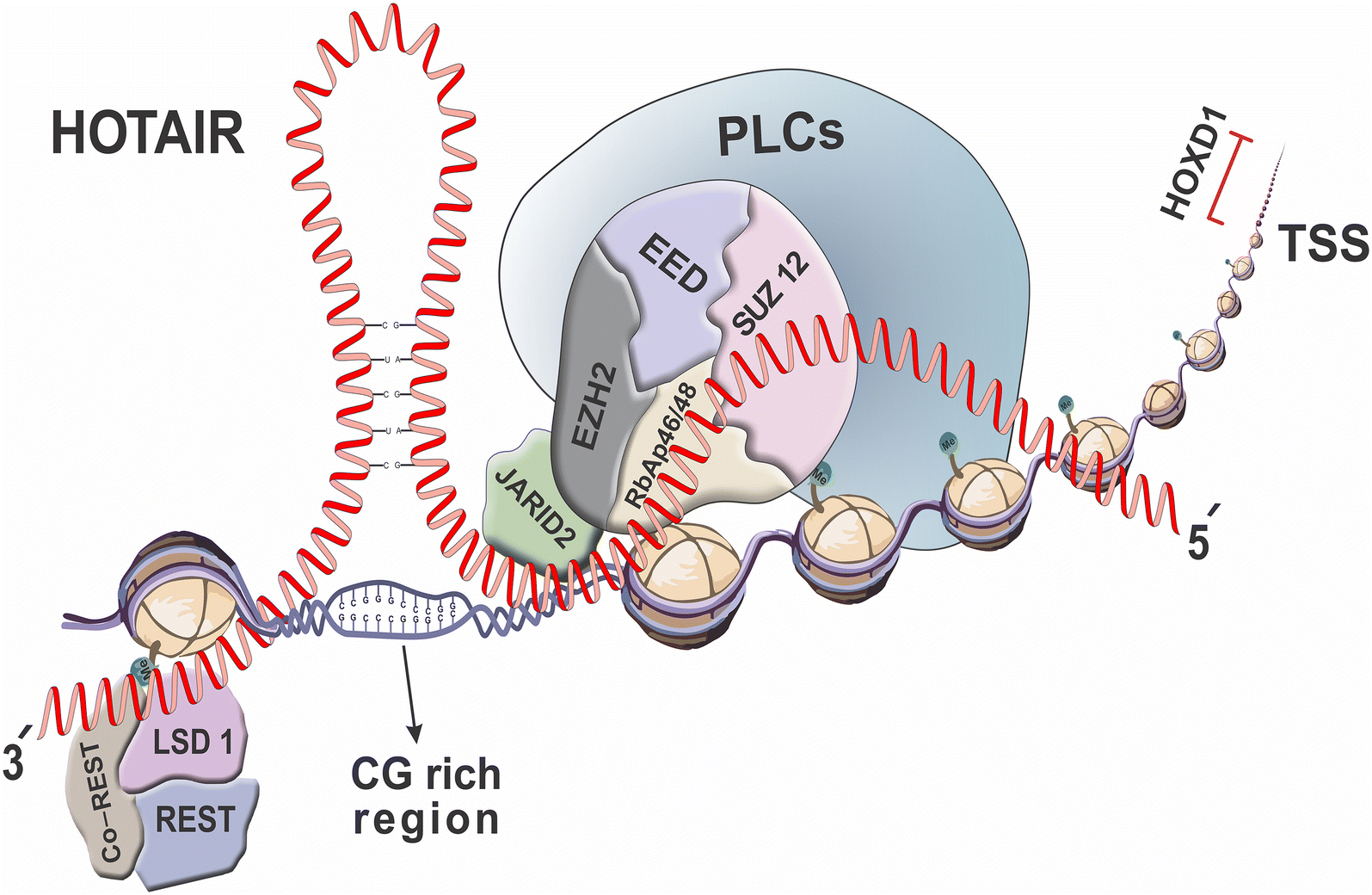 Fig. 2