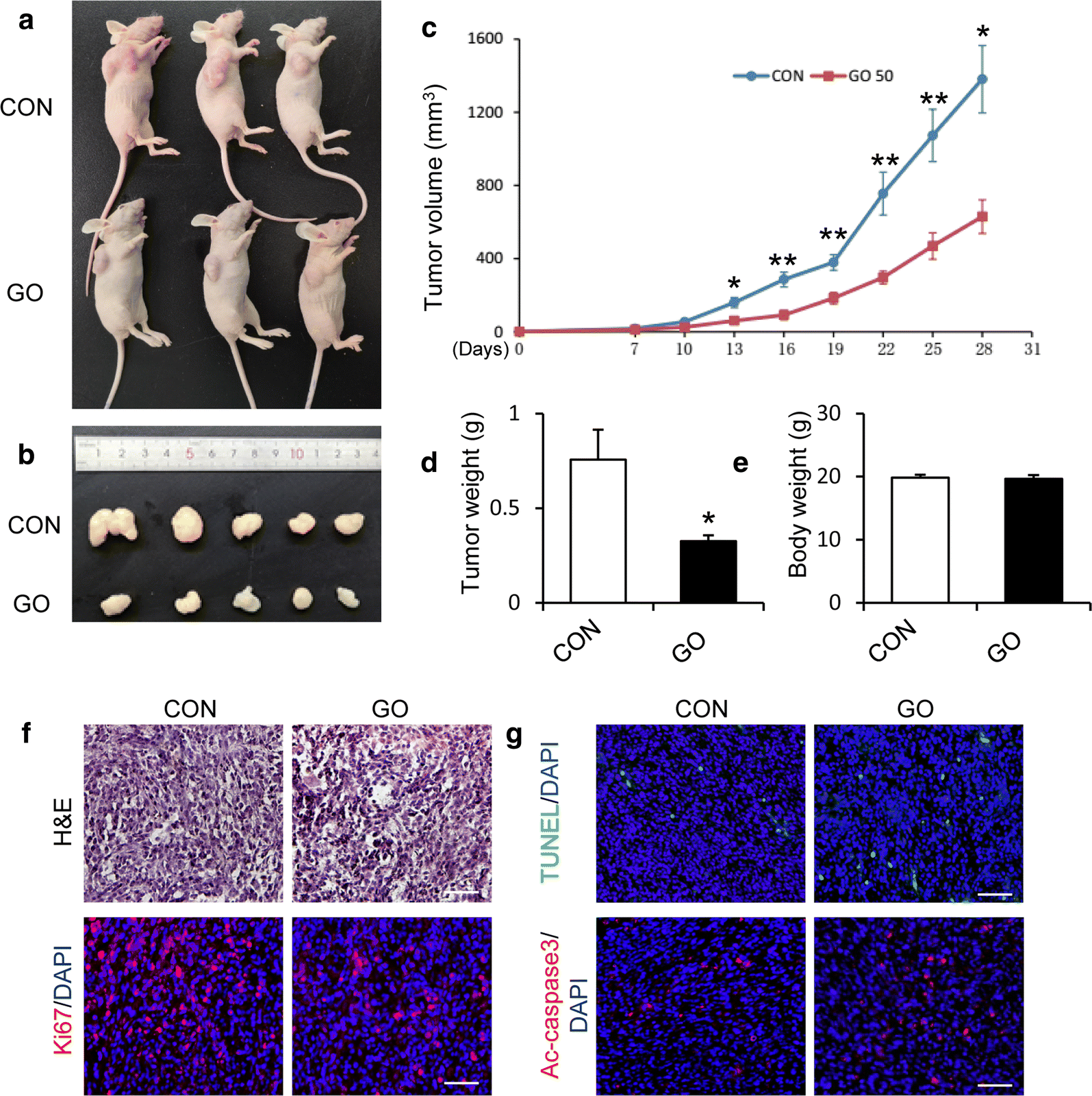 Fig. 6