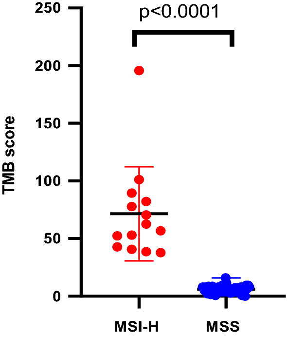 Fig. 5