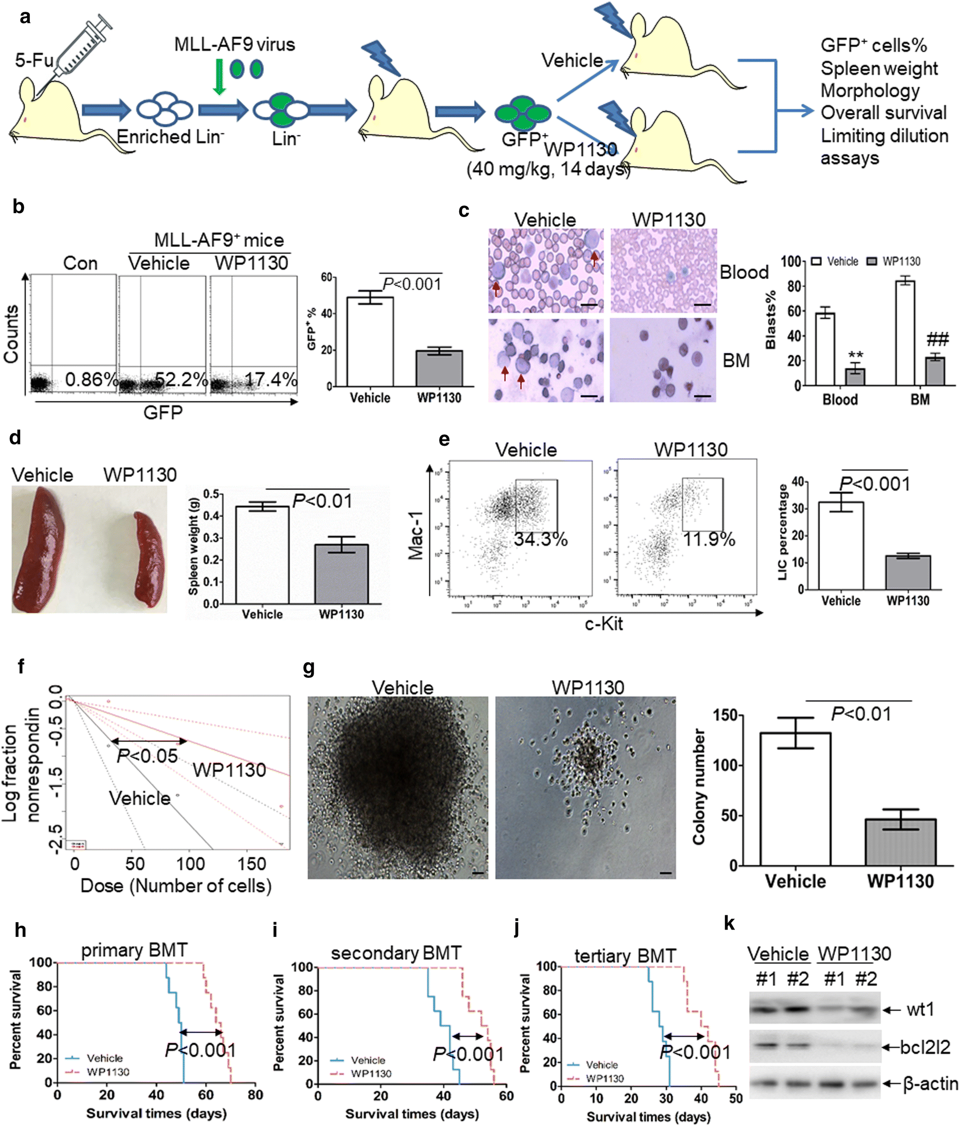 Fig. 6