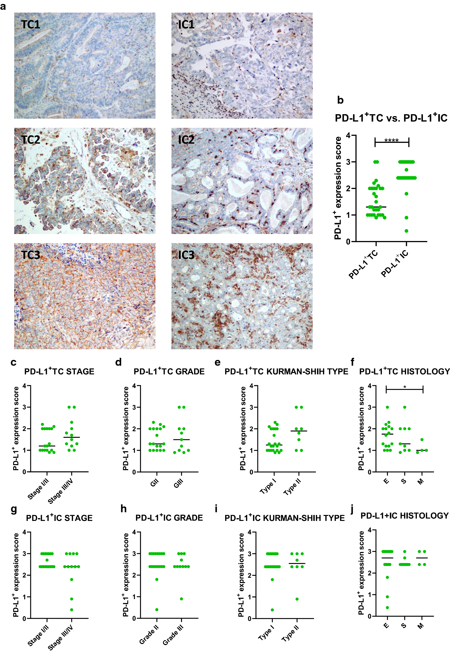 Fig. 6