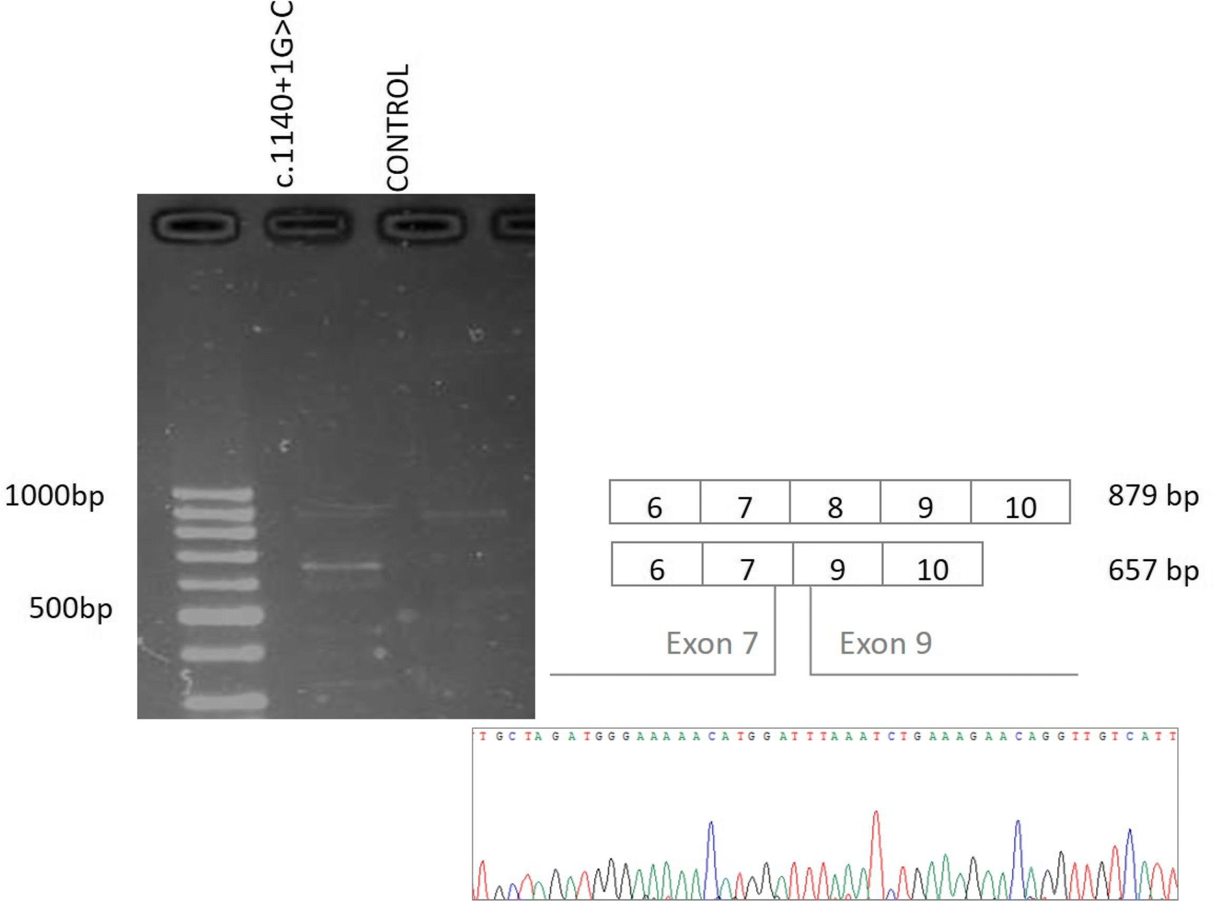 Fig. 6