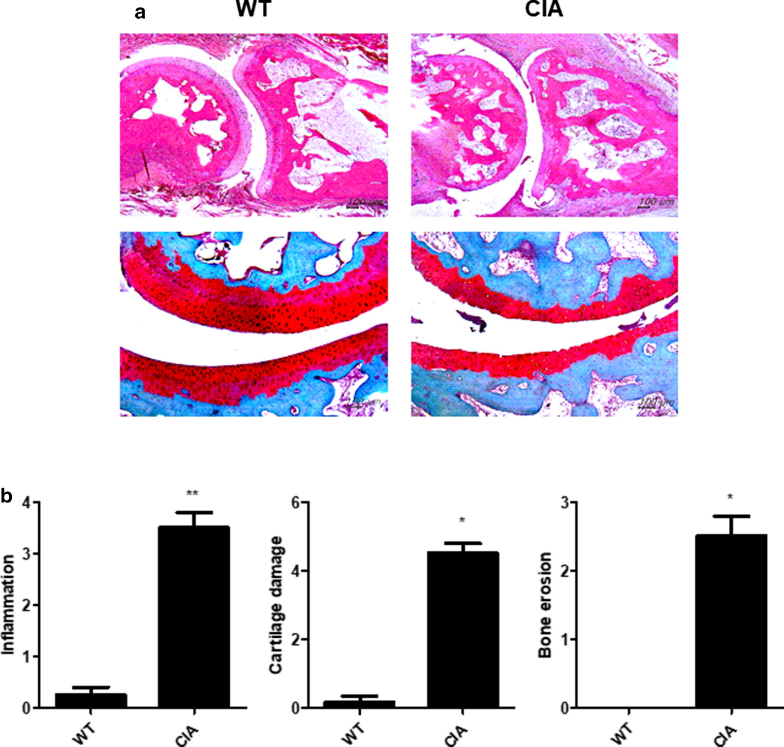 Fig. 4