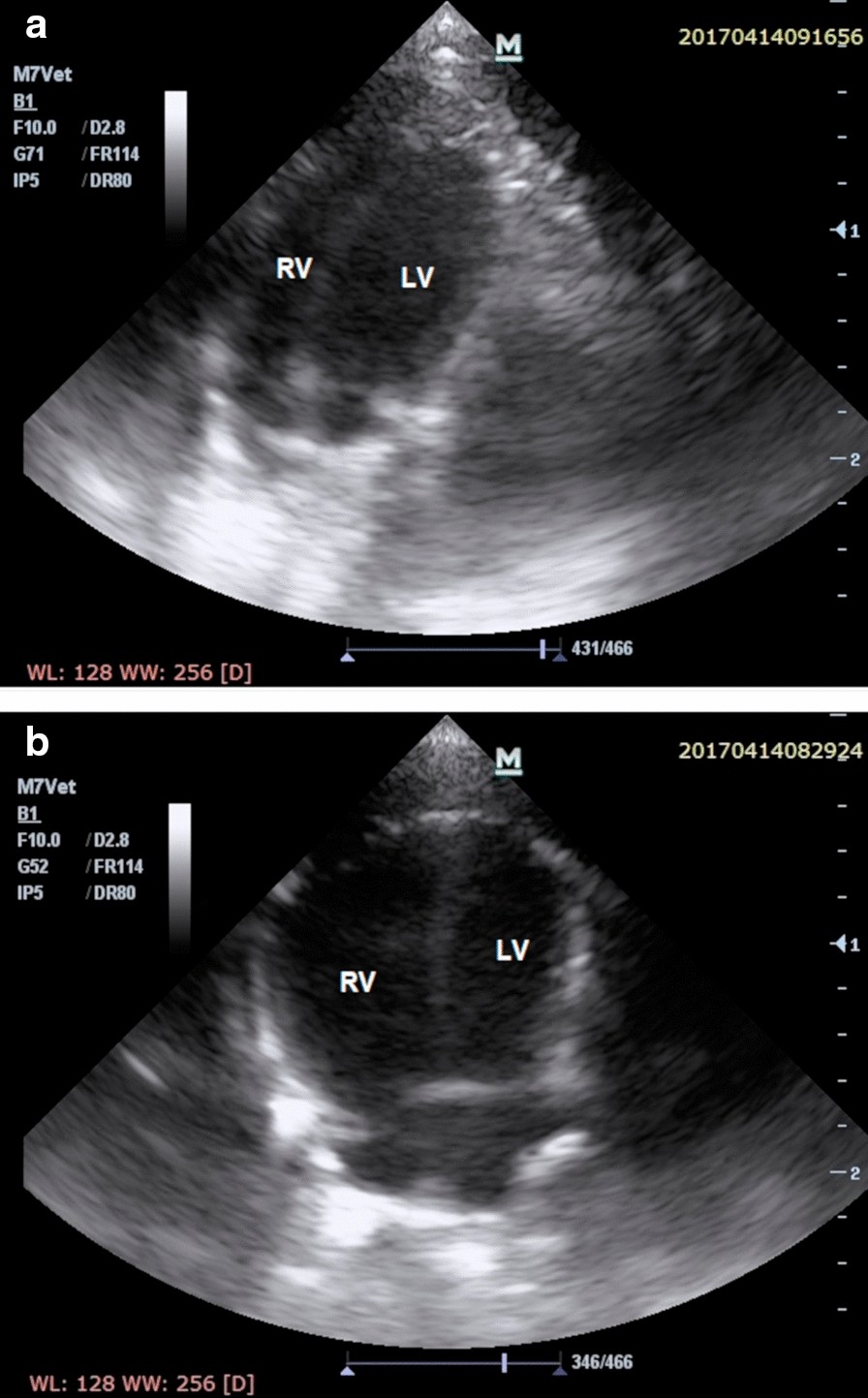 Fig. 4