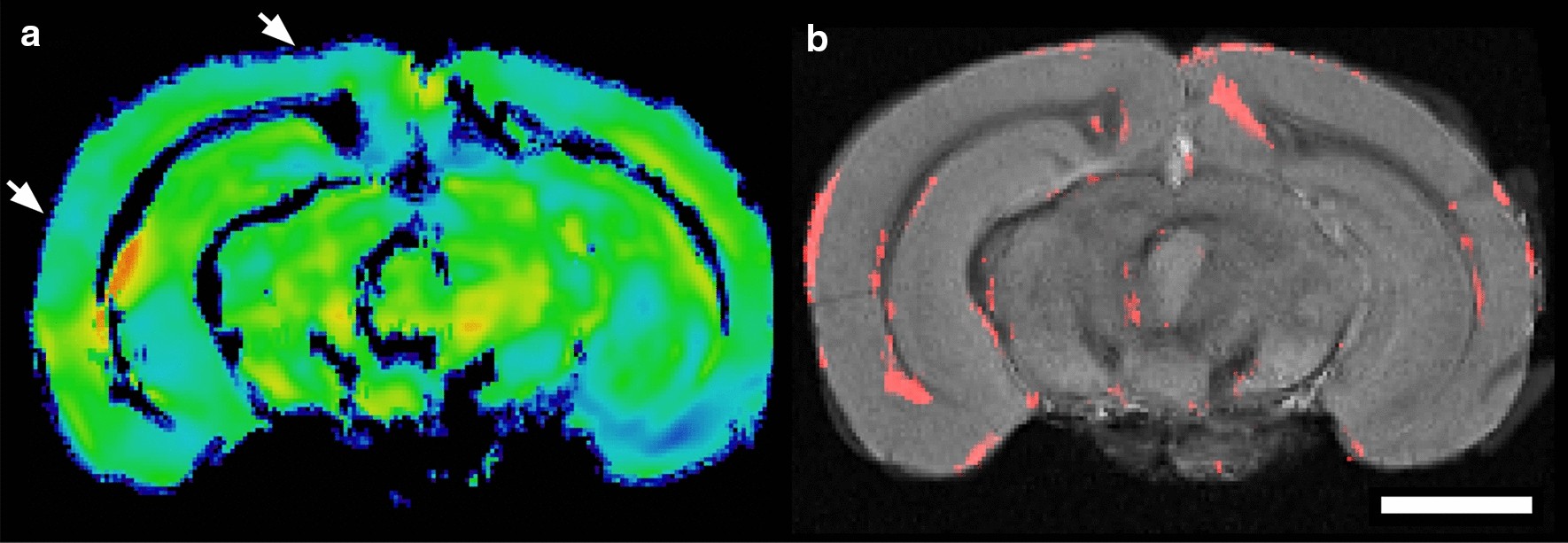 Fig. 3