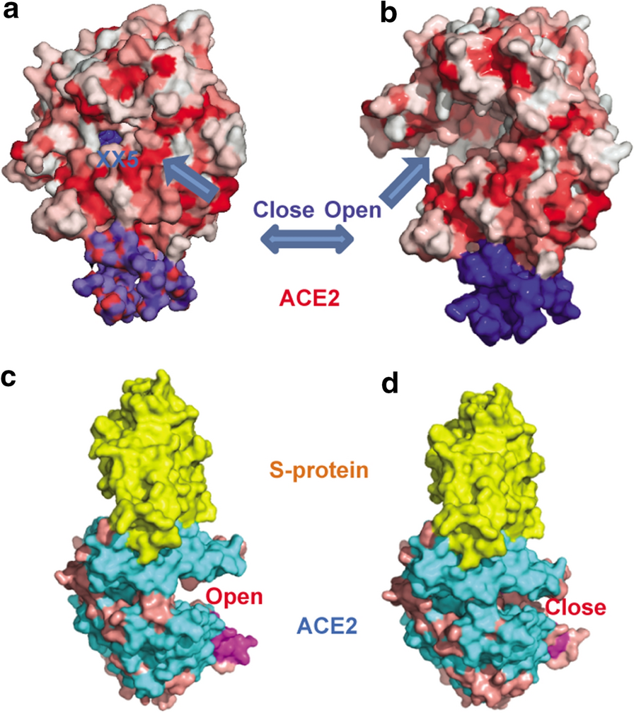 Fig. 1