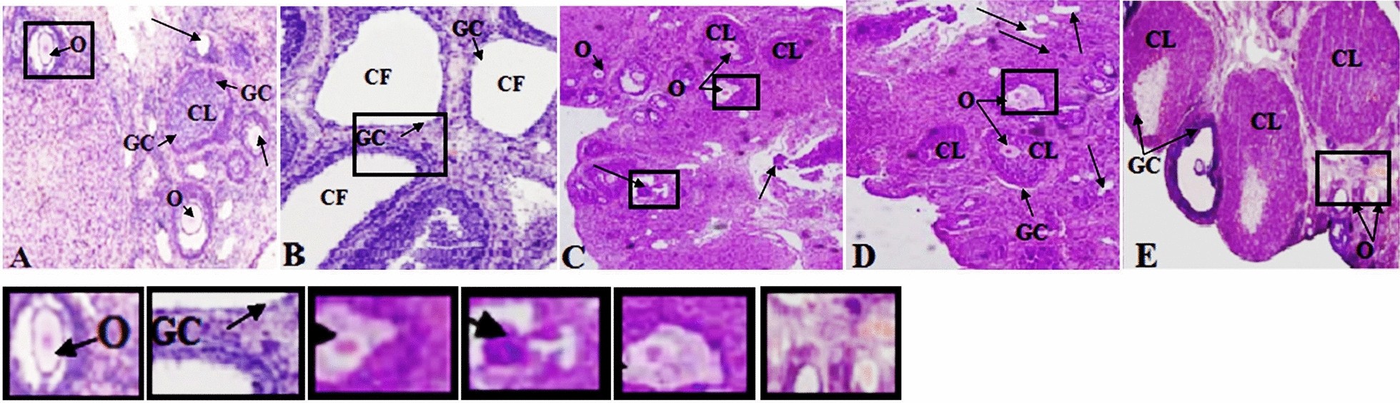 Fig. 4