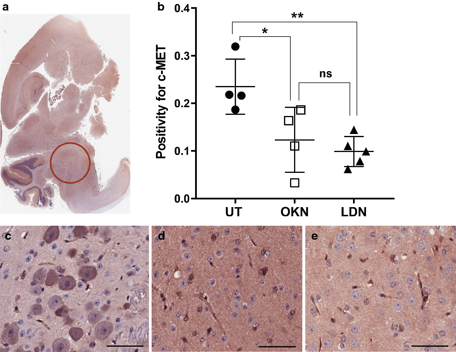 Fig. 12