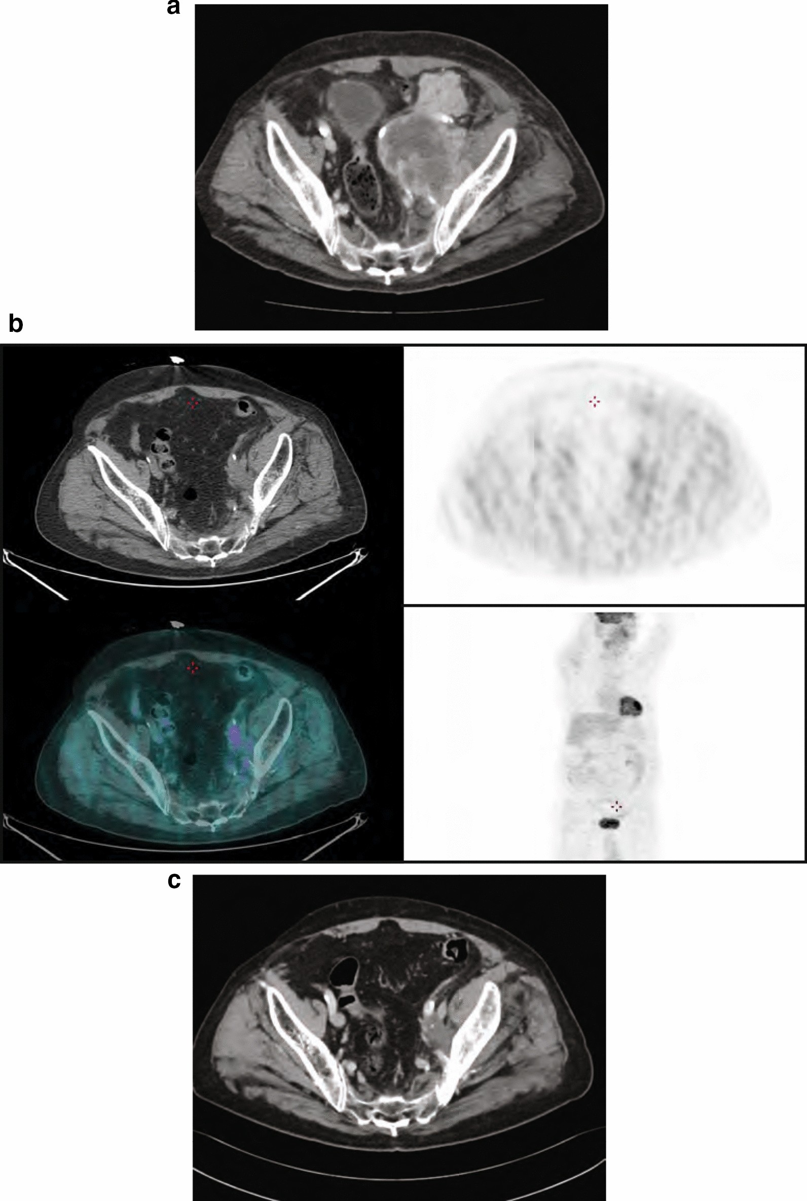 Fig. 5