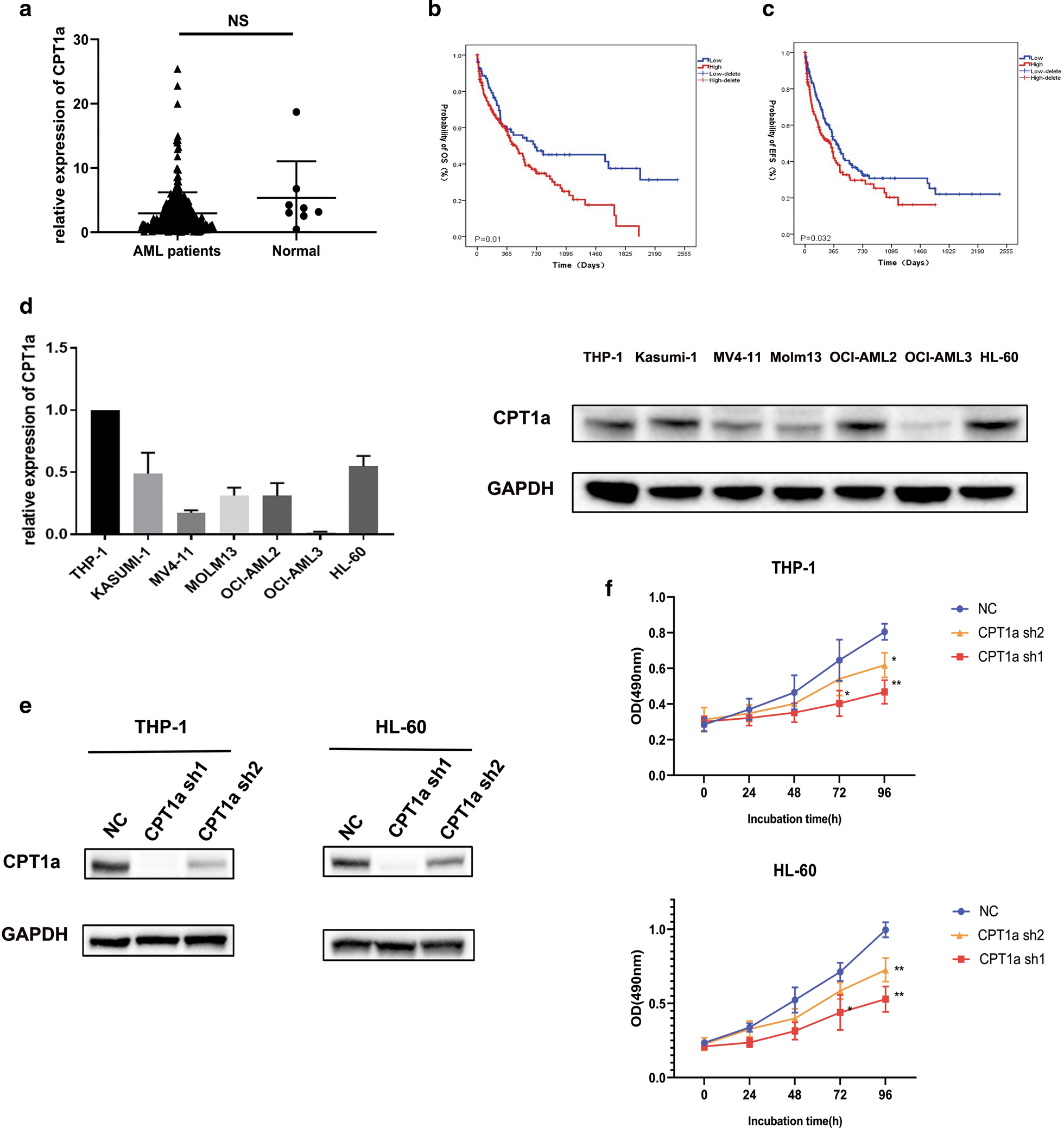 Fig.1