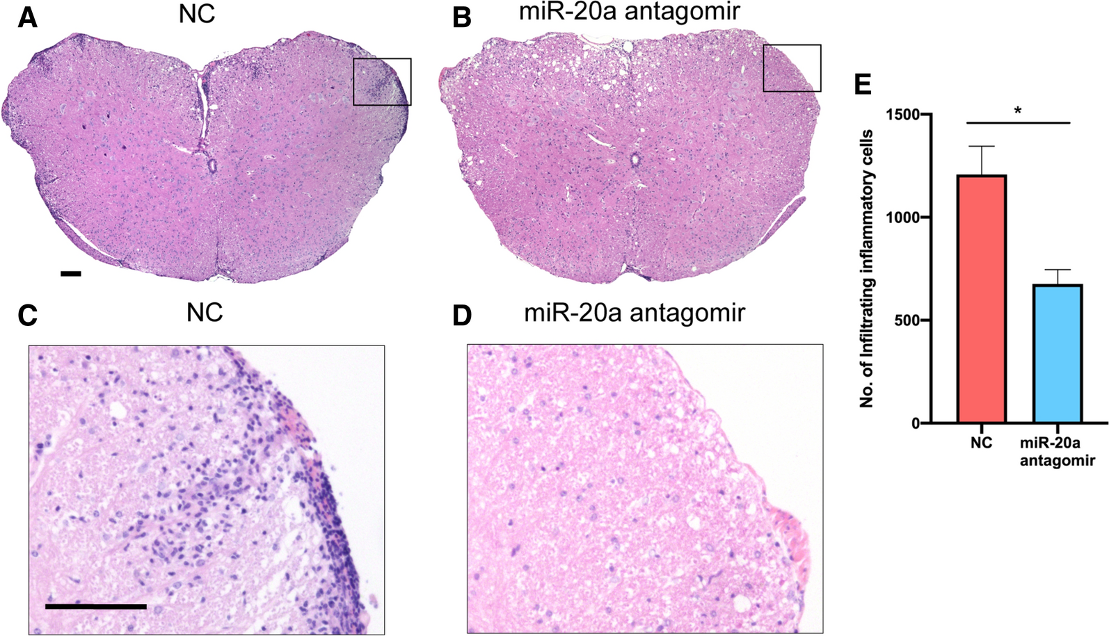 Fig. 8