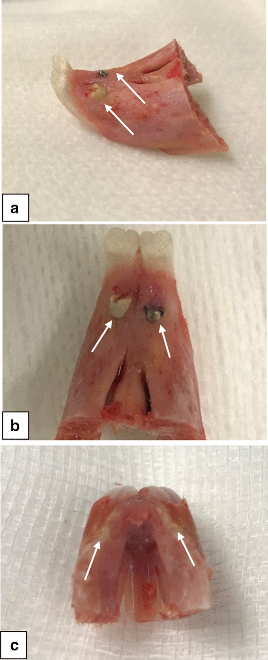 Fig. 5