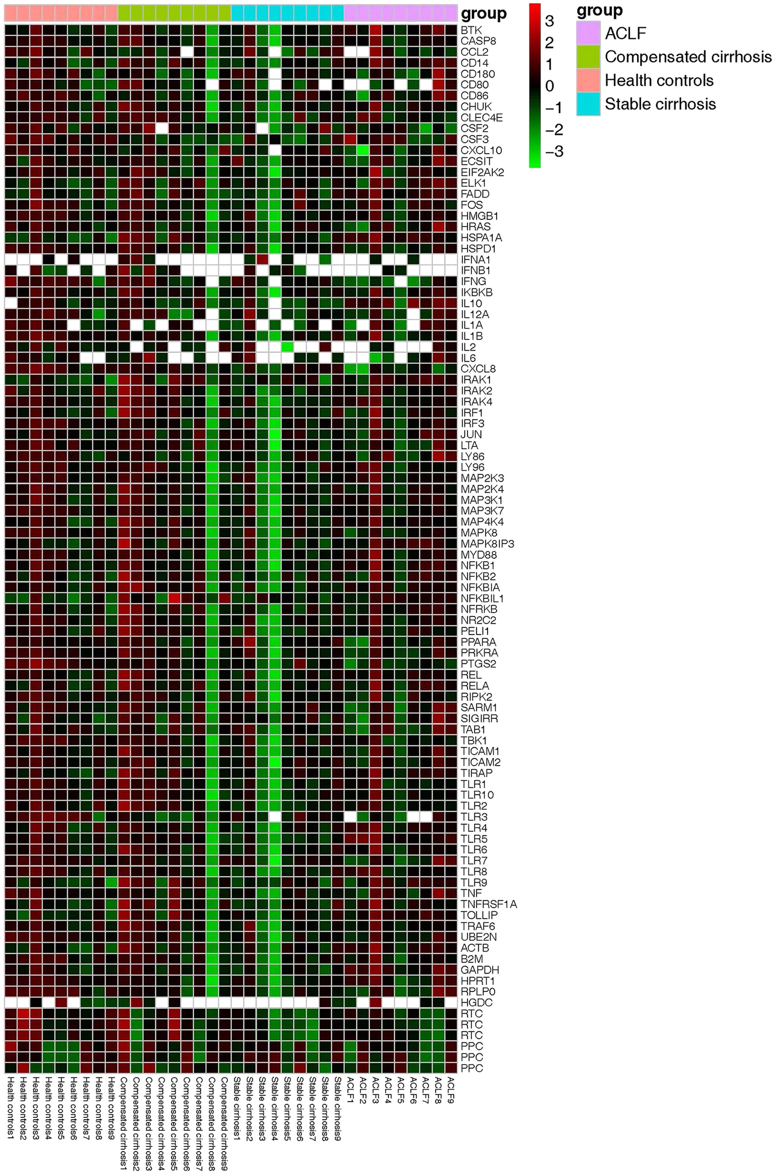 Fig. 2