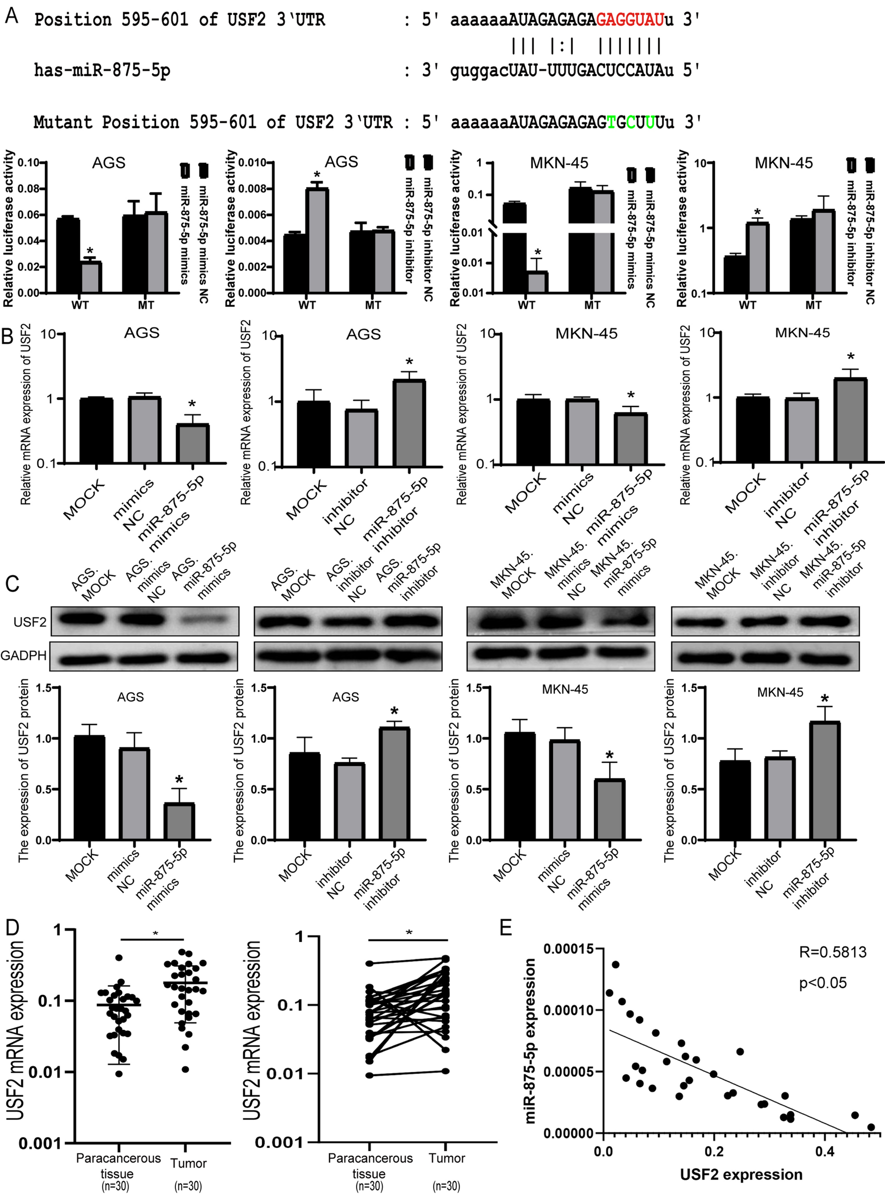 Fig. 4