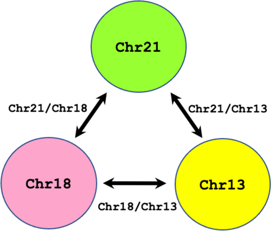 Fig. 5