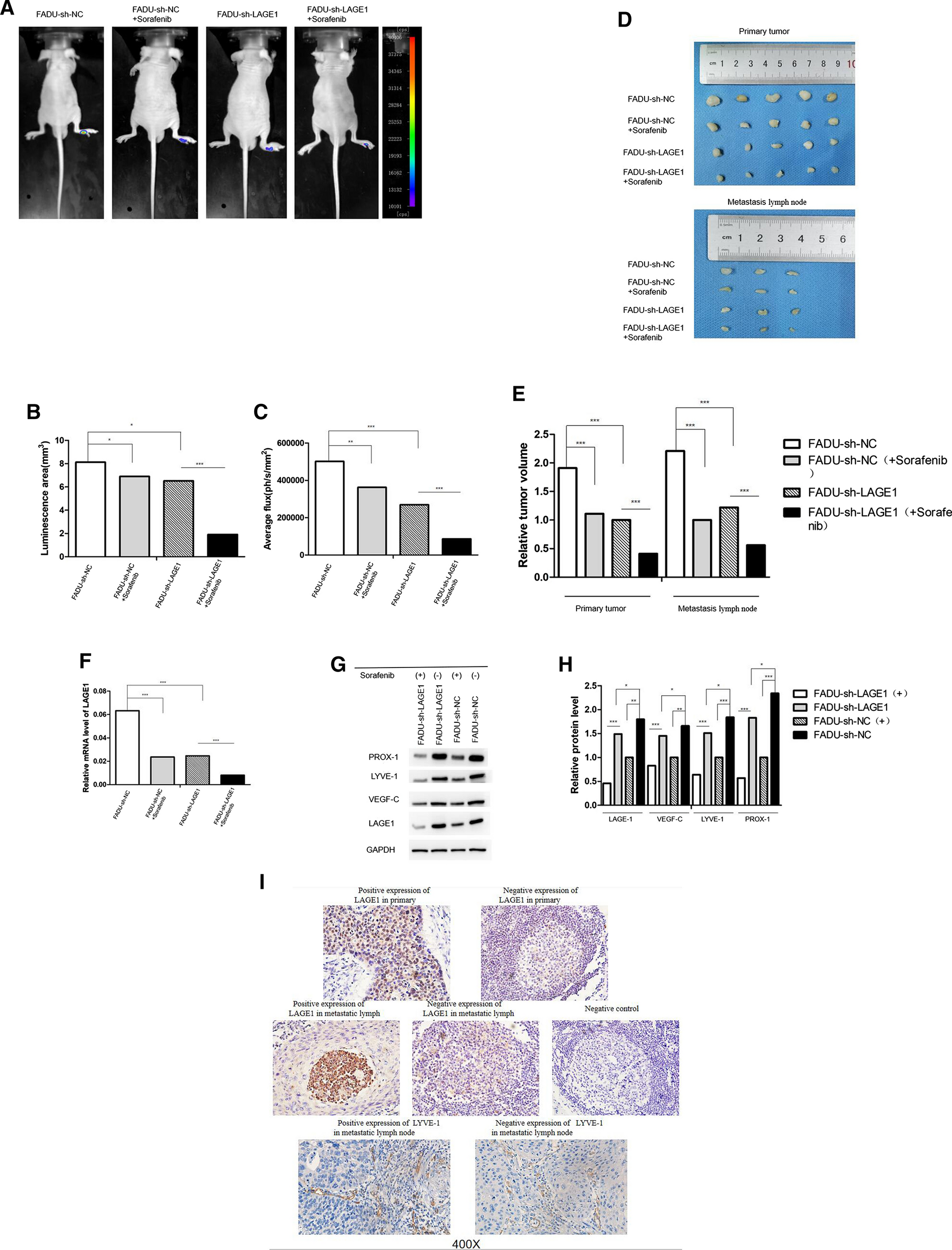 Fig. 11