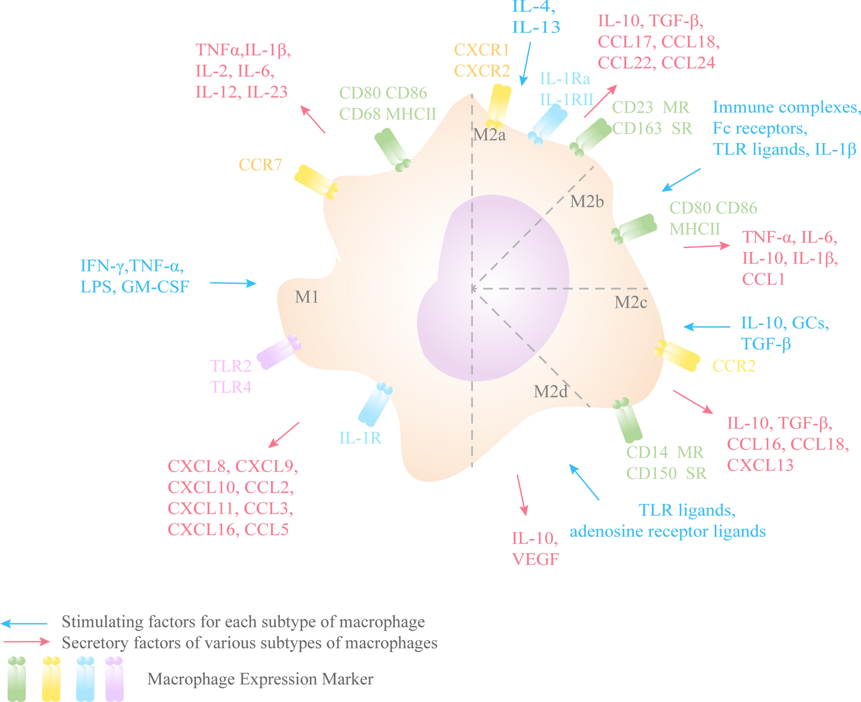 Fig. 2