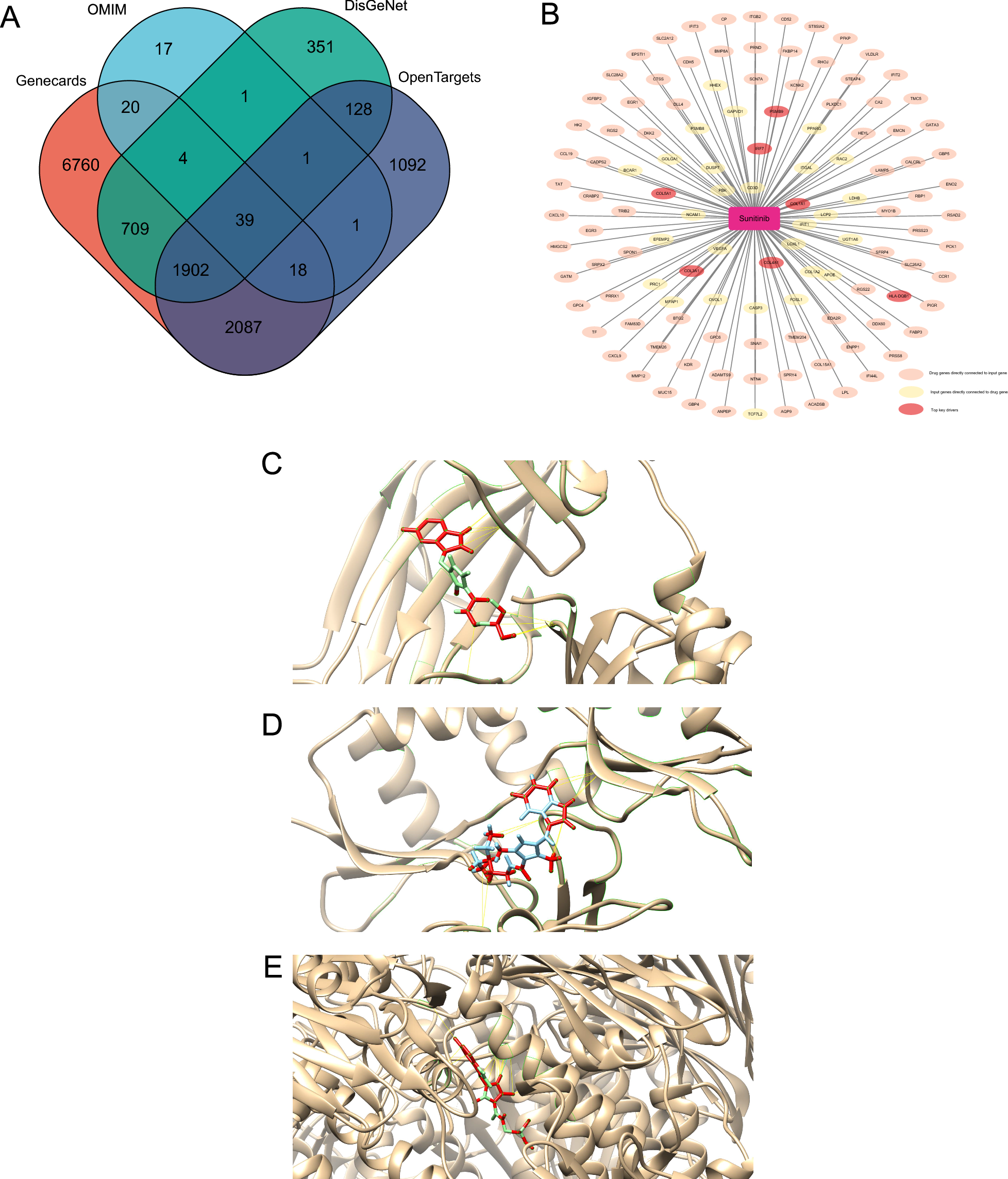 Fig. 7