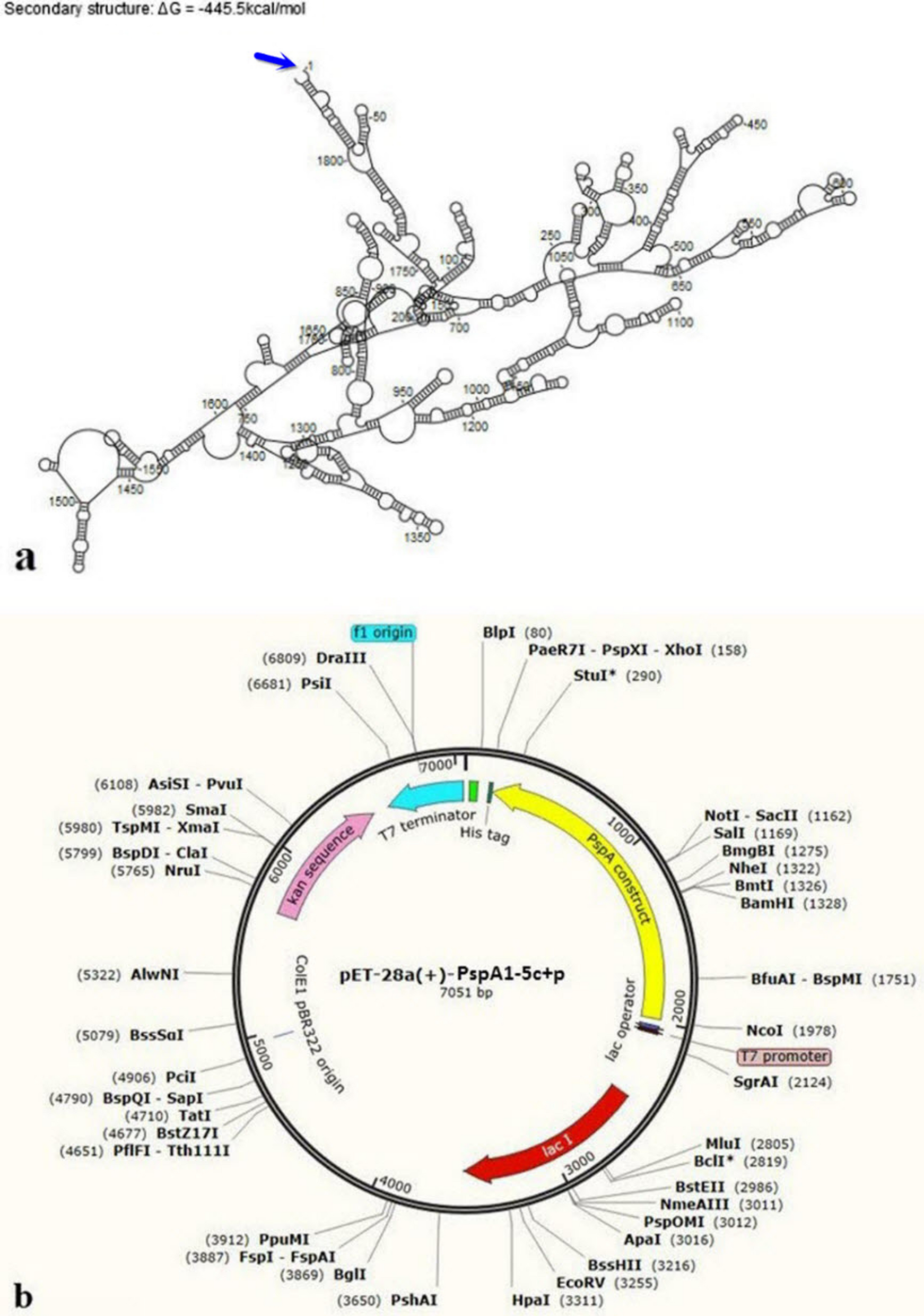 Fig. 9