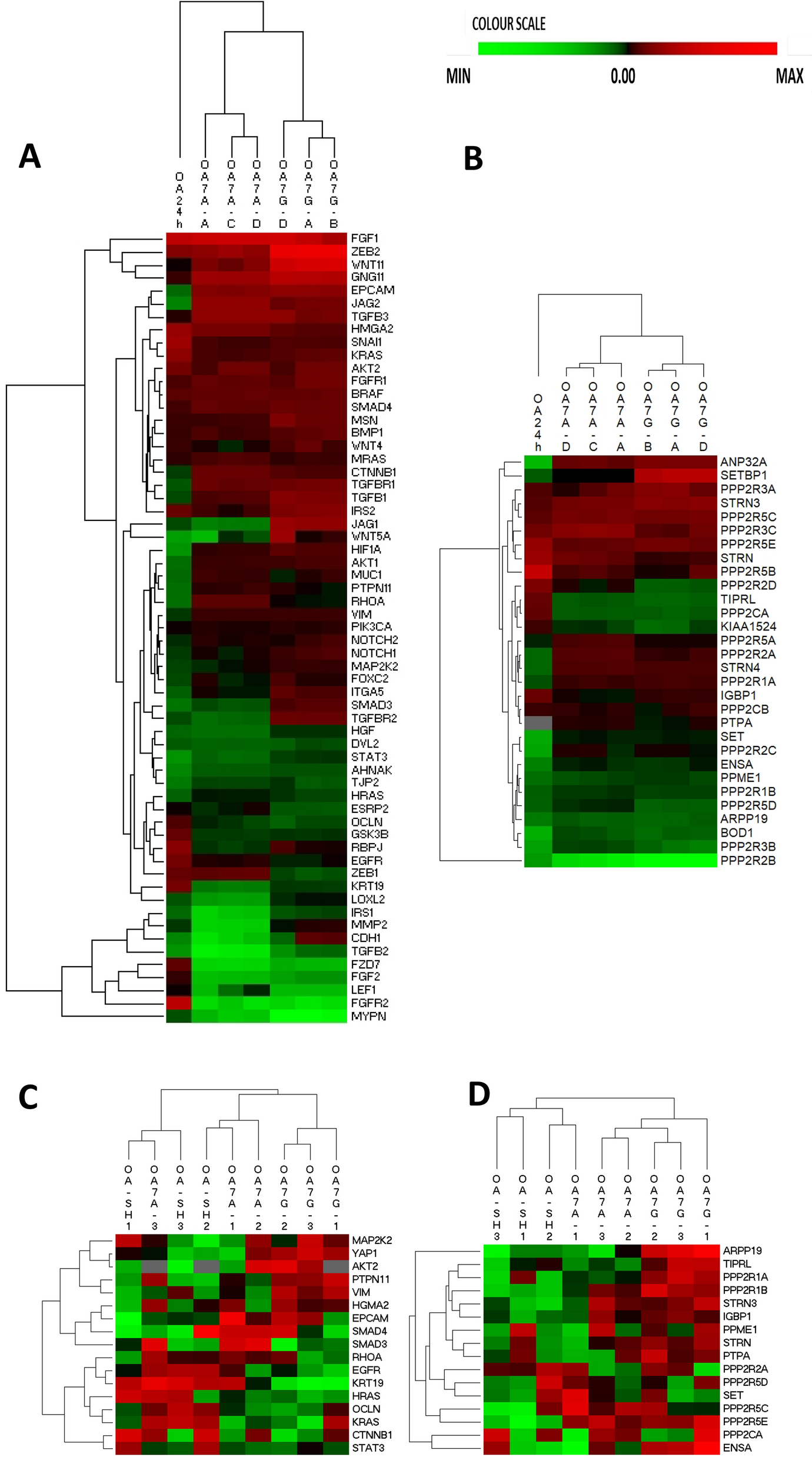 Fig. 7