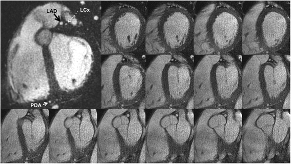 Fig. 5