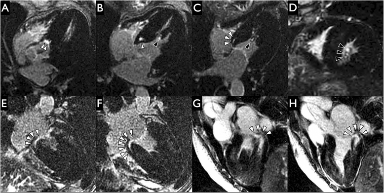 Fig. 7