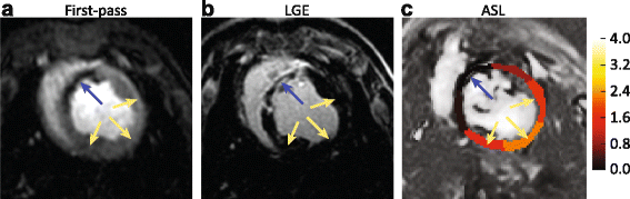 Fig. 9